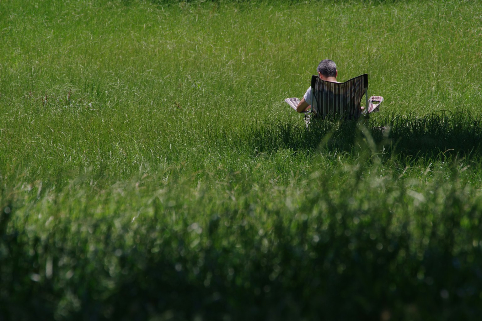 Eine Person liest ein Buch, während sie in einem grünen Feld sitzt