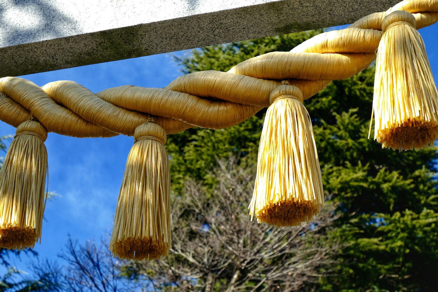 Một phần của shimenawa đền thờ Shinto với rơm bện và tua rua treo dưới bầu trời xanh