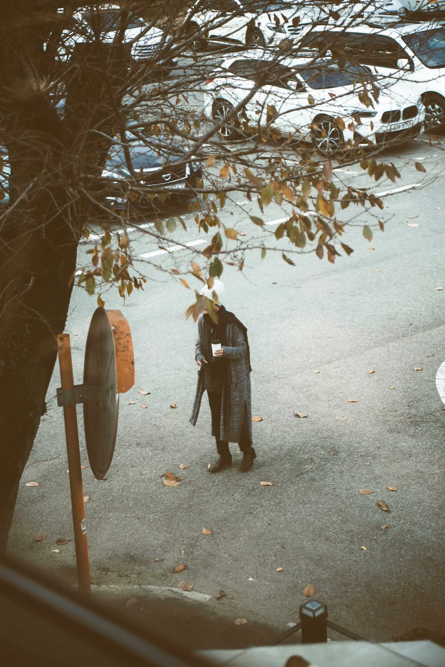 駐車場でスマートフォンを持つ人物と周囲の車