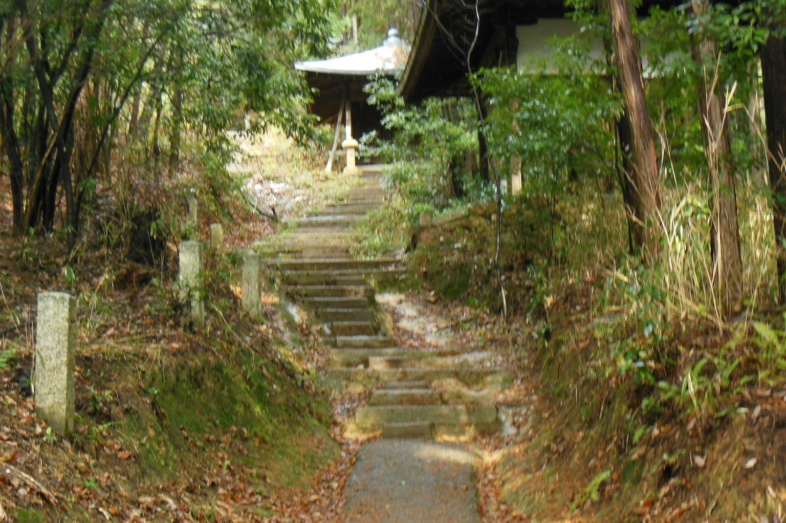 Un chemin avec des marches en pierre menant à un petit bâtiment entouré de verdure