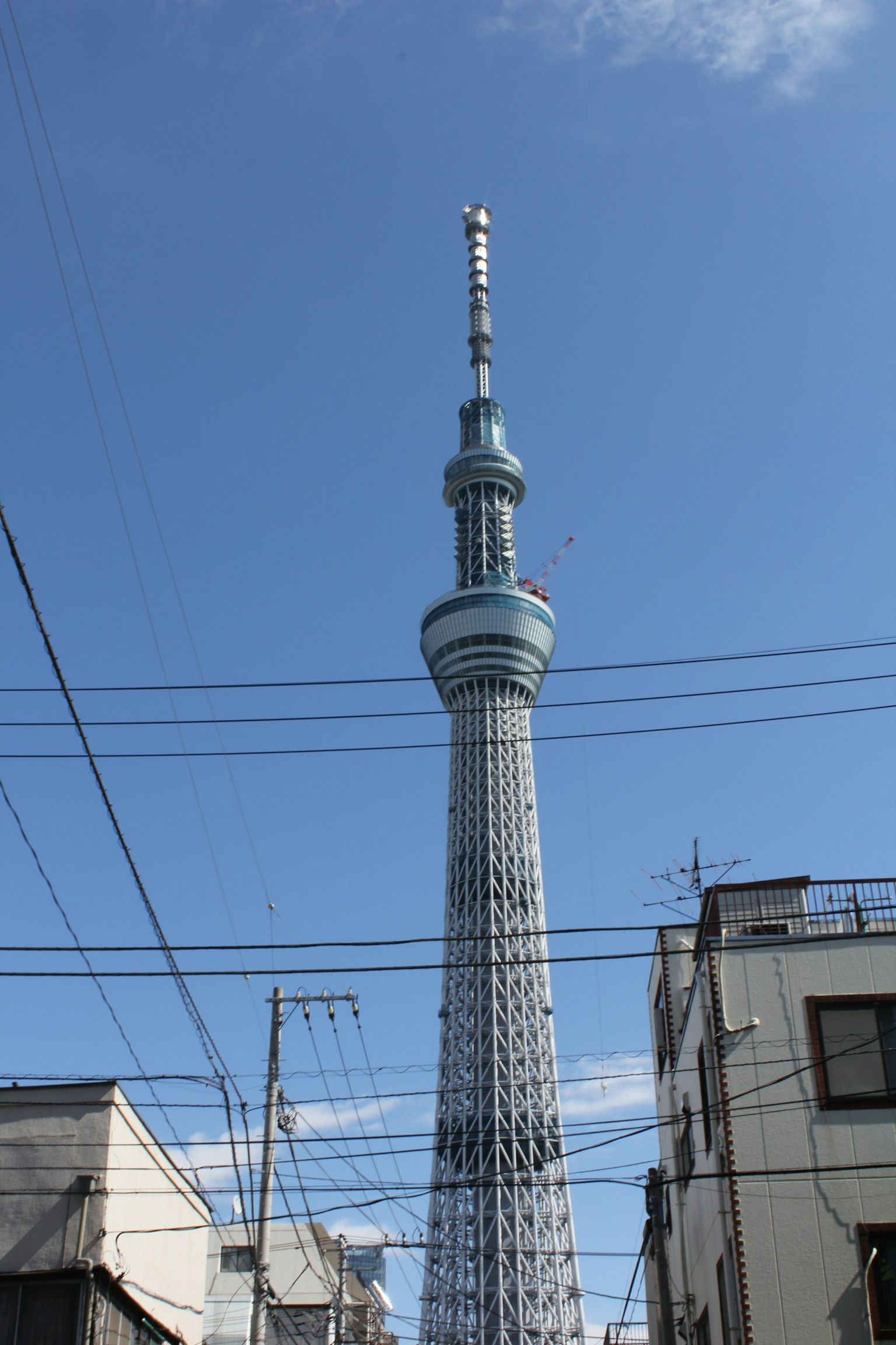 Tokyo Skytree che svetta sotto un cielo blu chiaro