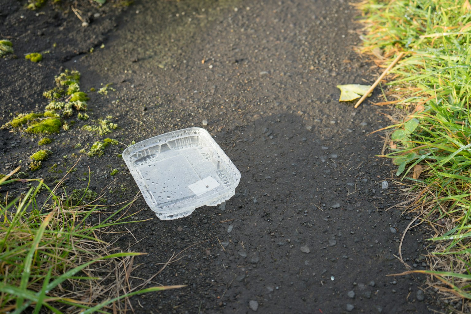 Transparenter Plastikbehälter am Rand eines gepflasterten Weges umgeben von Gras und Unkraut