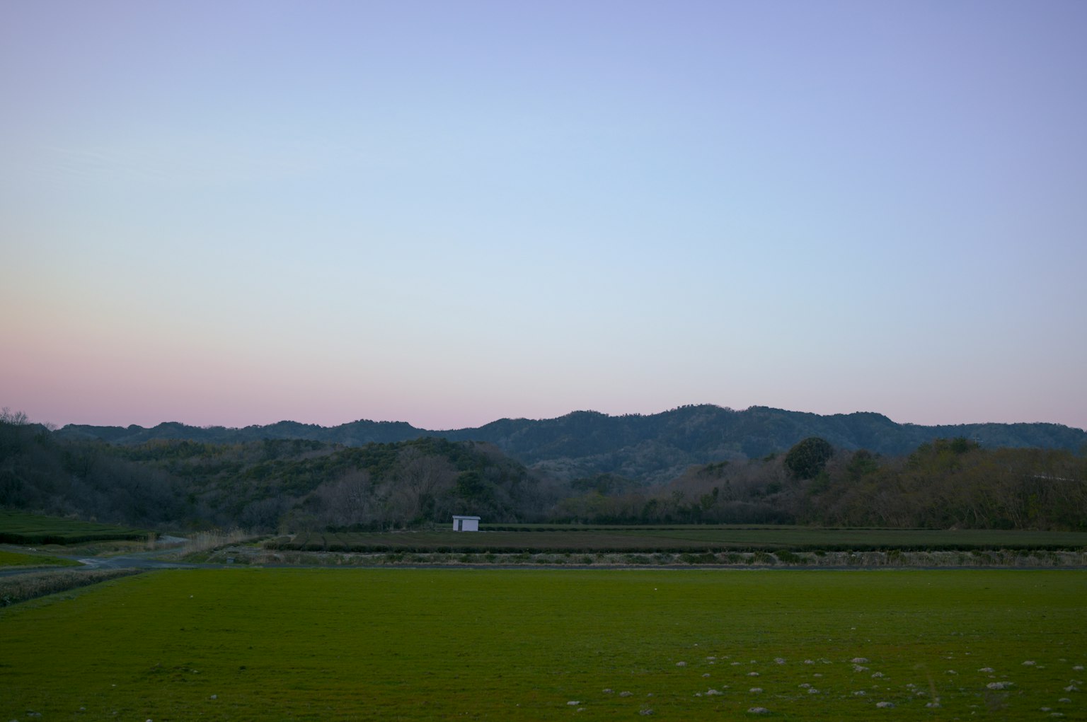 Landscape with sunset sky and green rice field