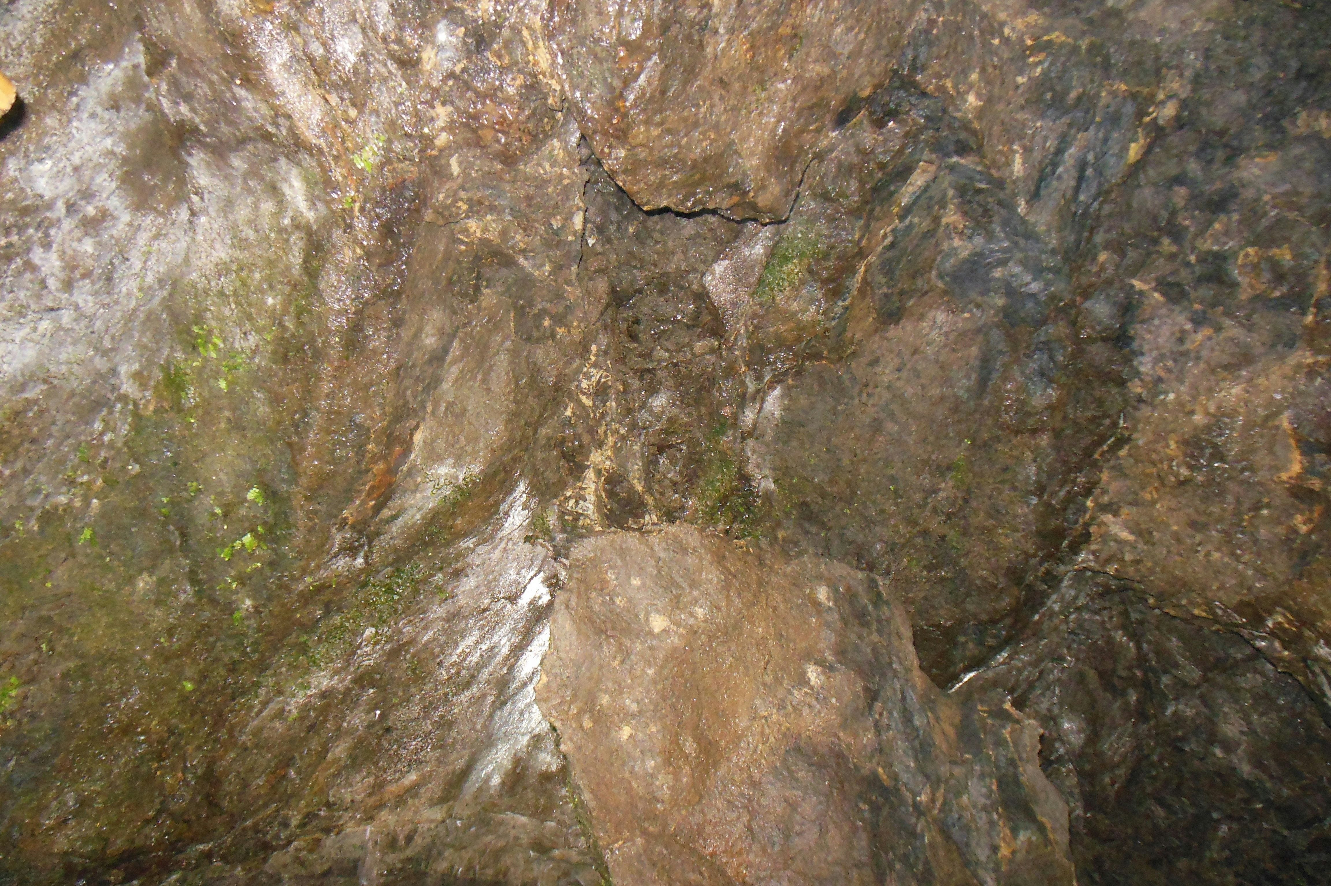 close-up of a rocky surface with cracks and moss