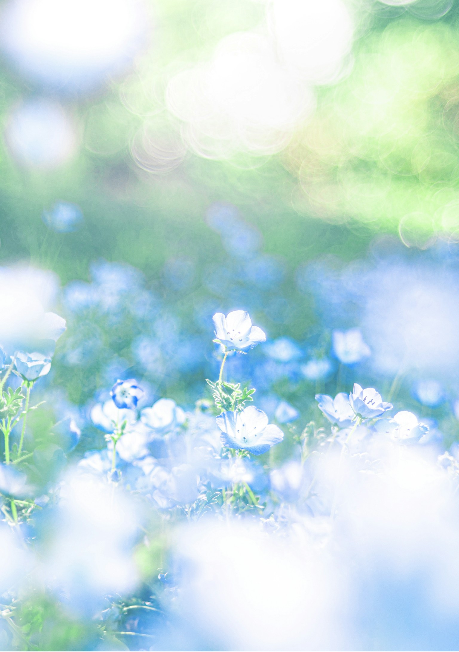 photo-l8aPjlbemtw9jQgXXTzT-image