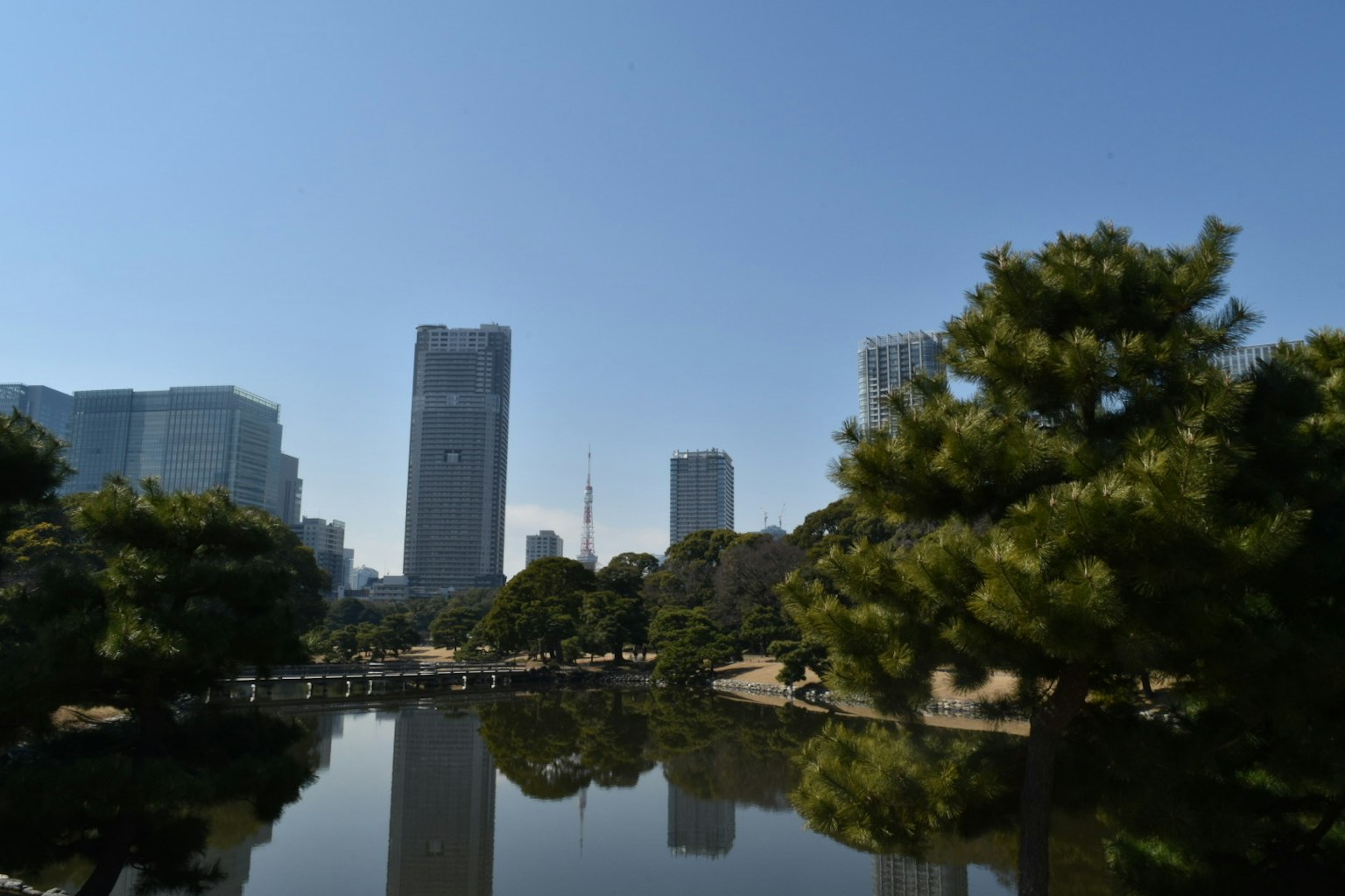 ทิวทัศน์สวนสาธารณะในเมืองที่มีบ่อน้ำและตึกระฟ้า