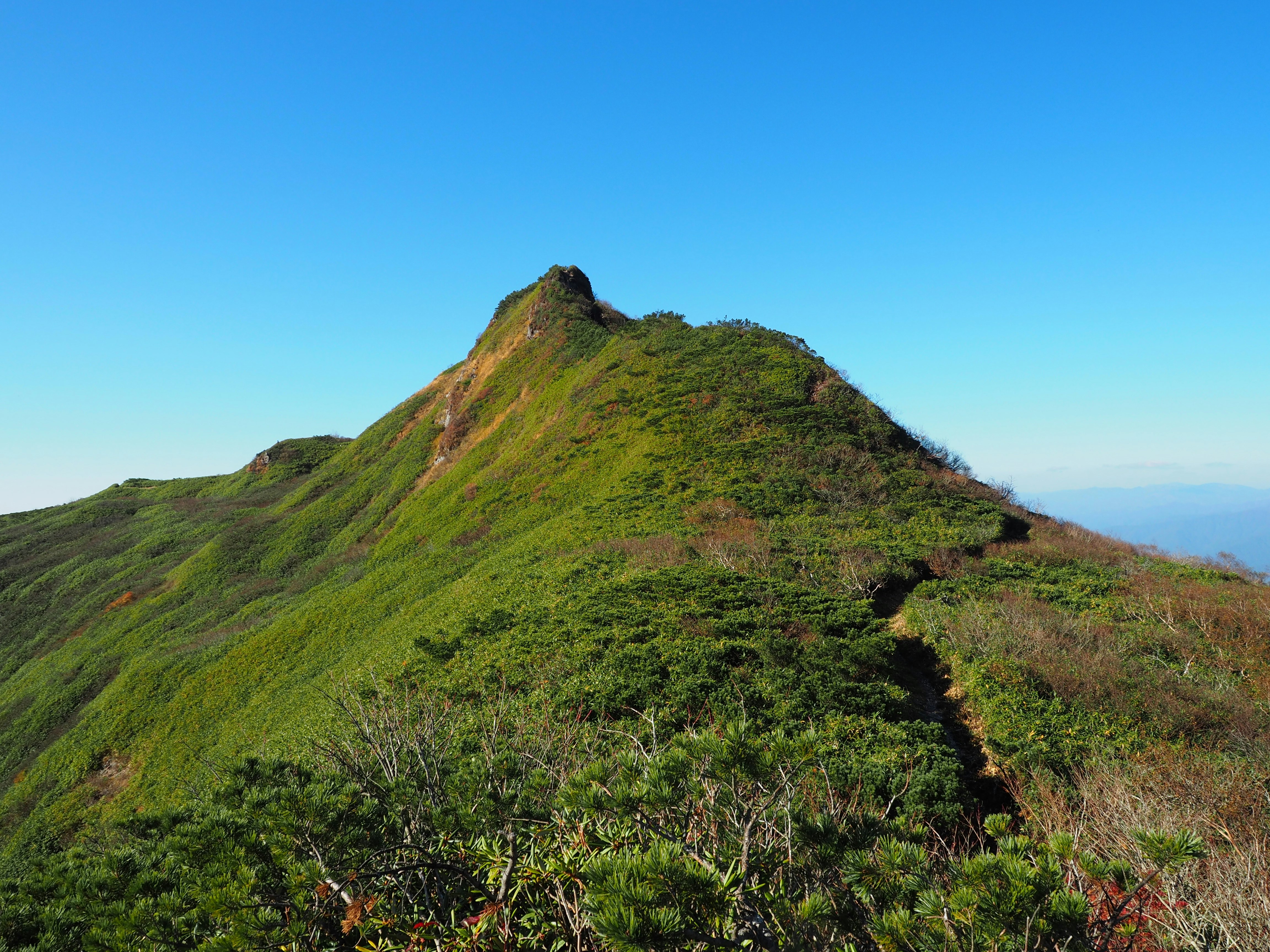 青空の下の緑の山の稜線