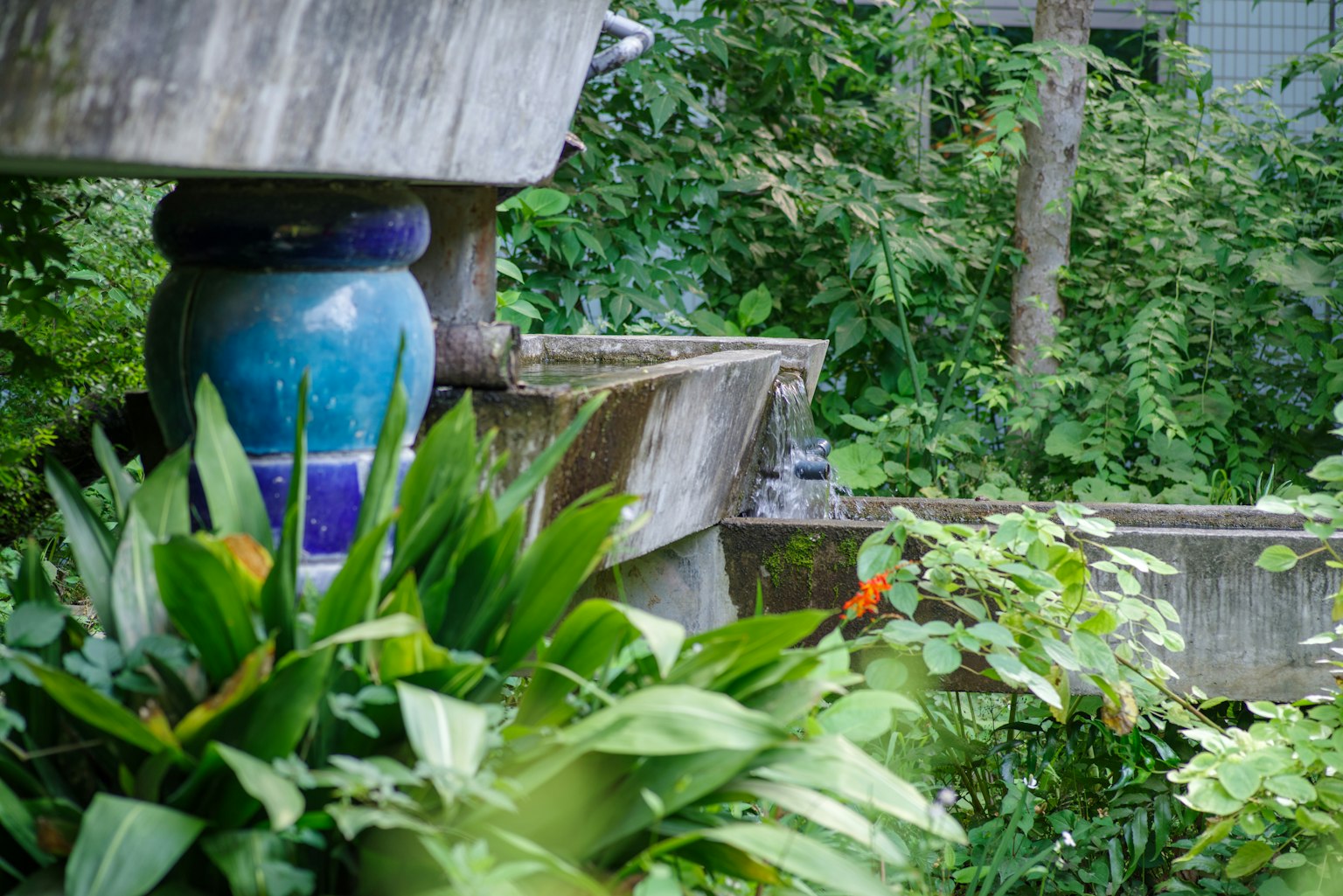Yếu tố nước trong khu vườn xanh tươi với lọ gốm đầy màu sắc