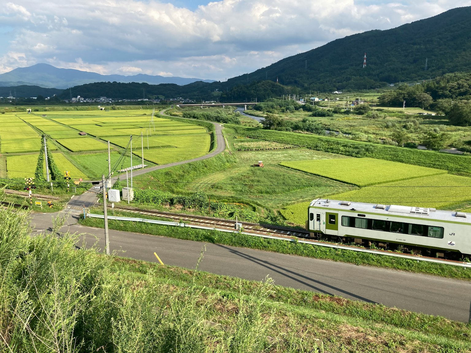 穿越翠綠稻田的火車