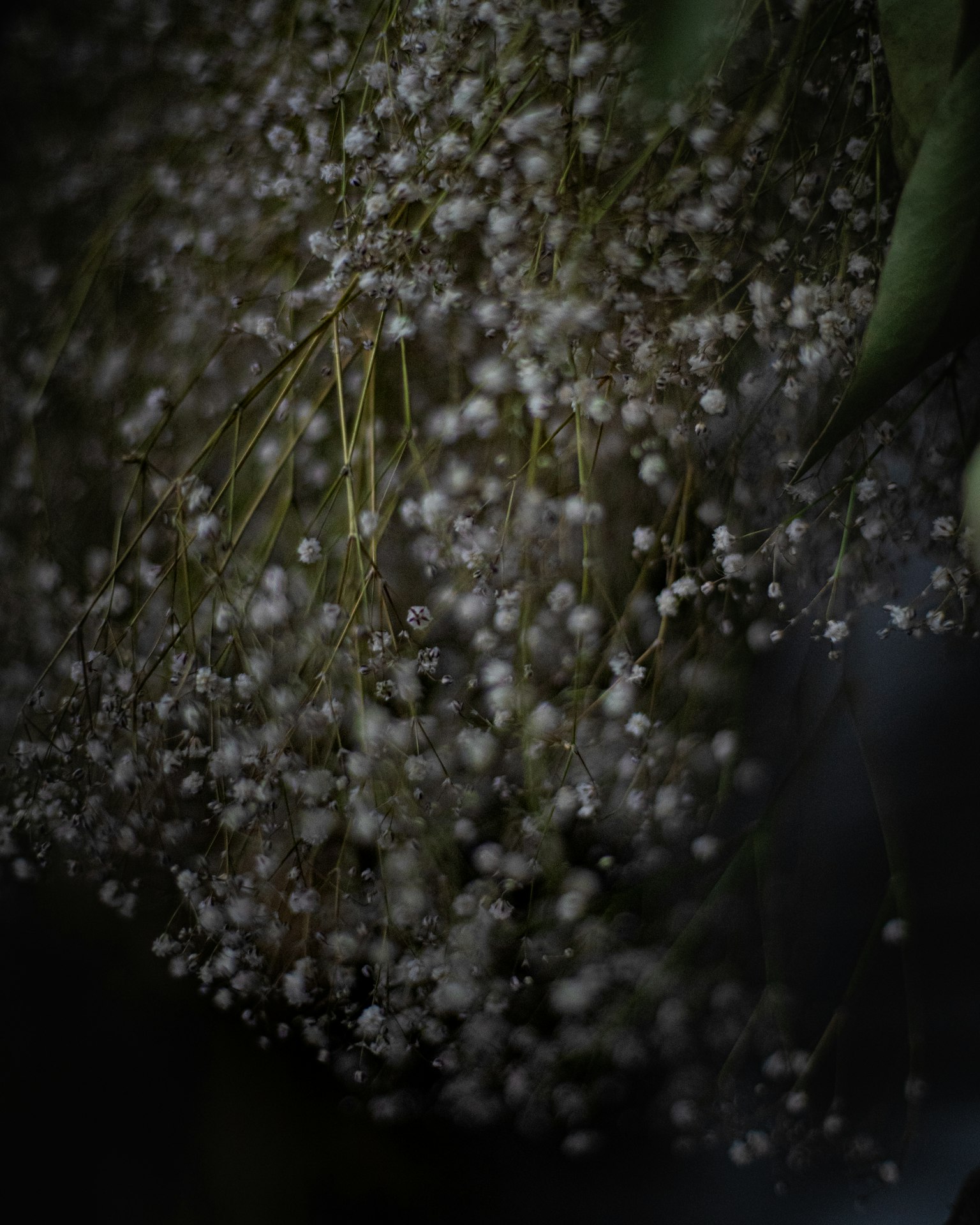 photo-l9wZPLnIGxMMvXVVRHzF-image