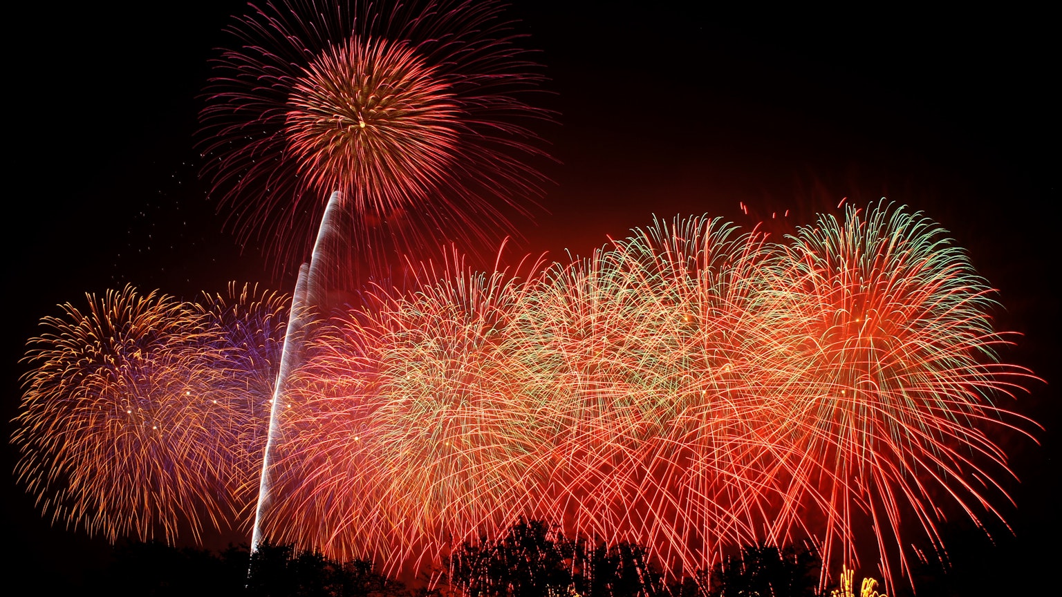 Colorful fireworks bursting in the night sky
