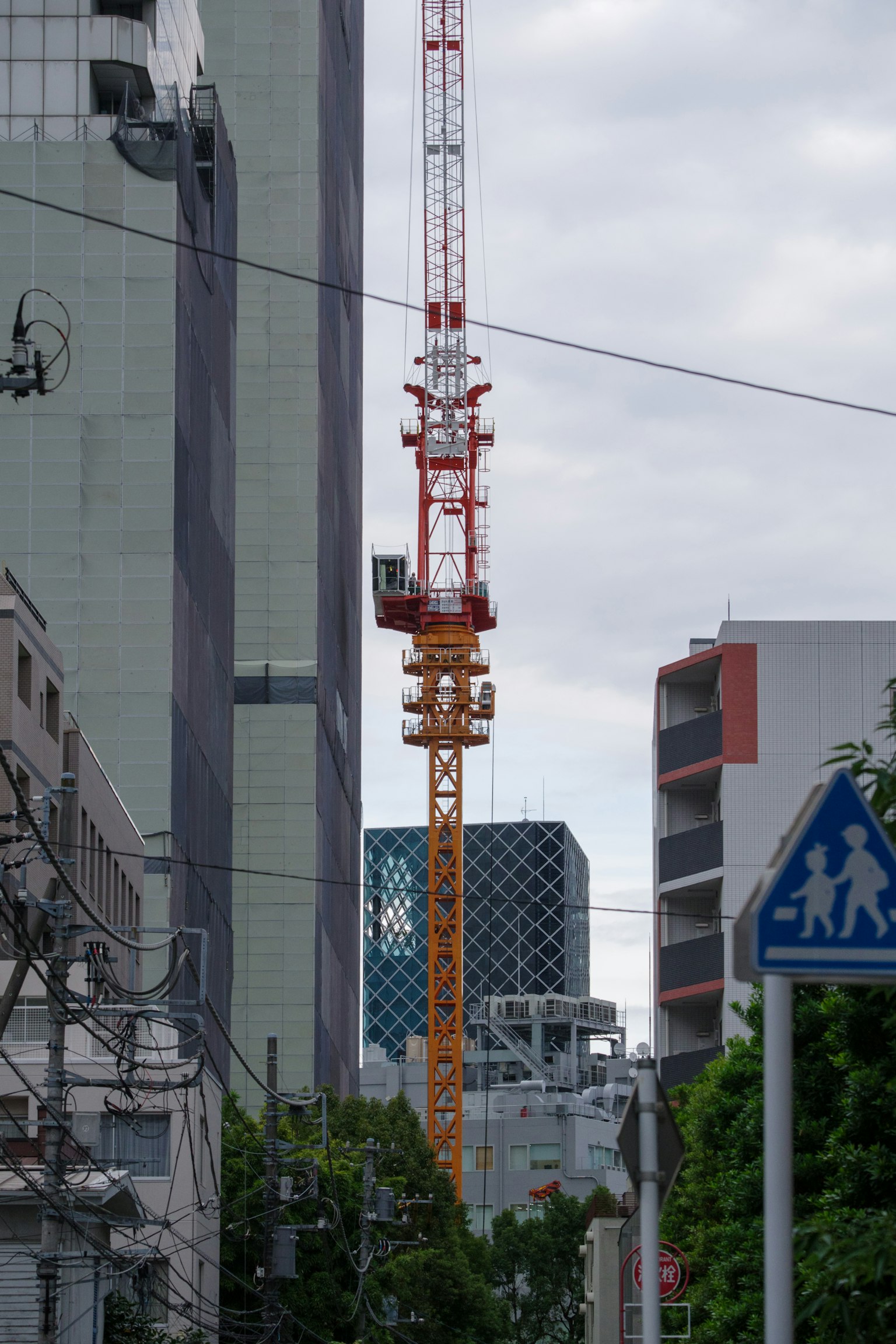 Gru che svetta tra edifici moderni in un contesto urbano