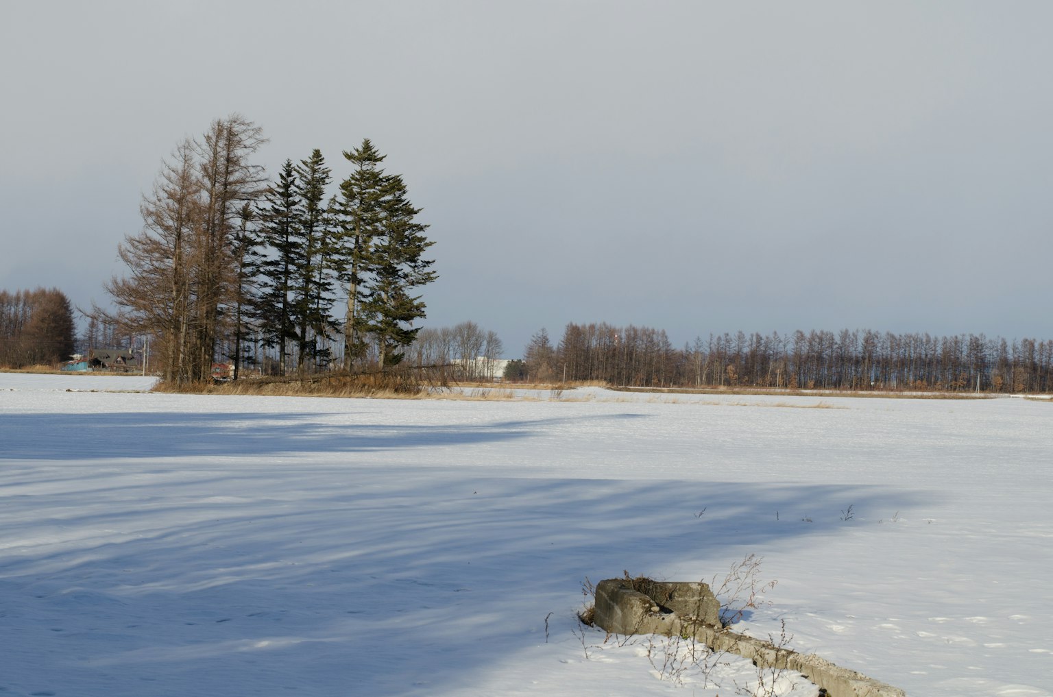 Winter landscape featuring a frozen lake and surrounding trees
