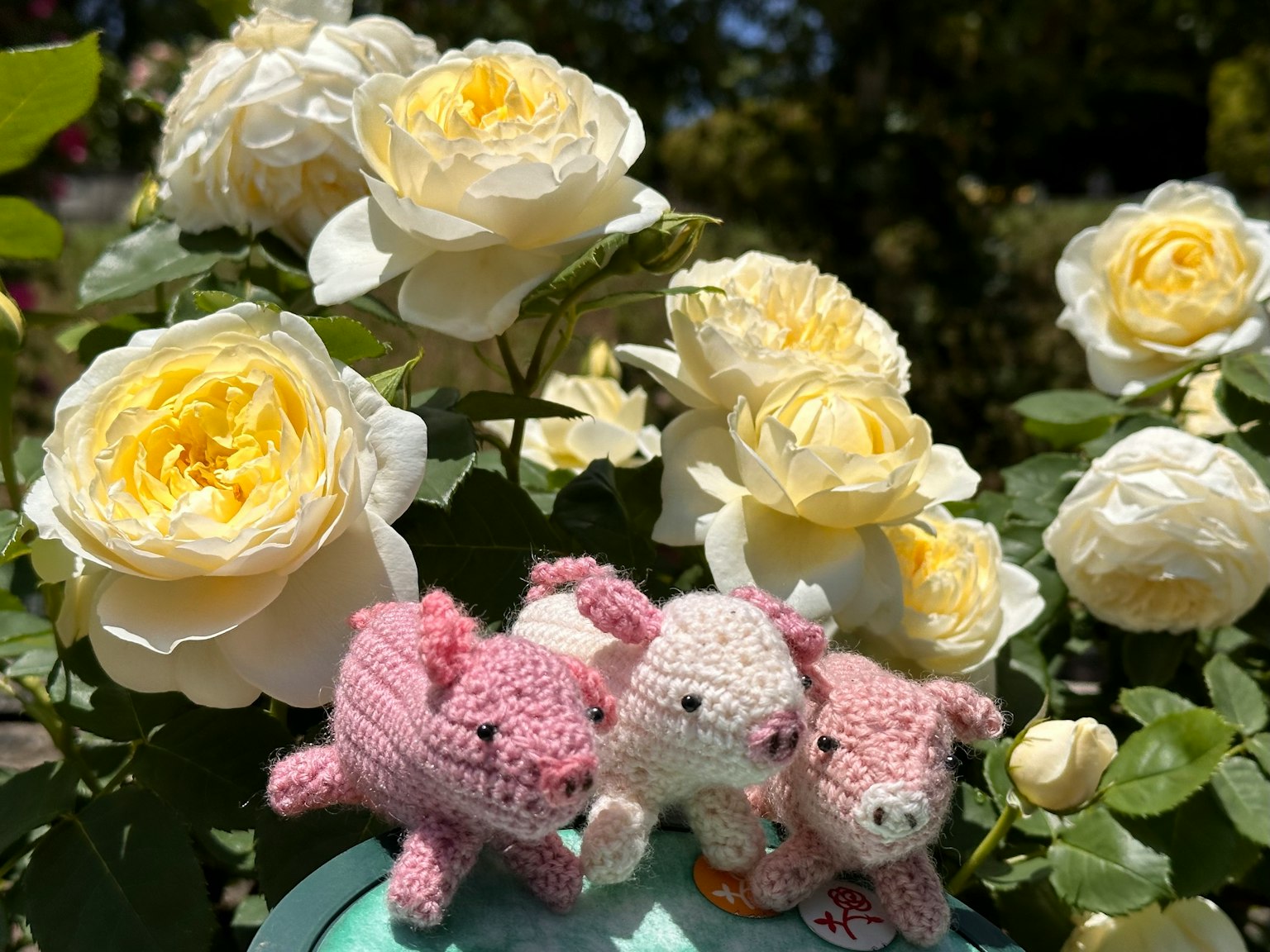 Tre animali all'uncinetto davanti a rose bianche