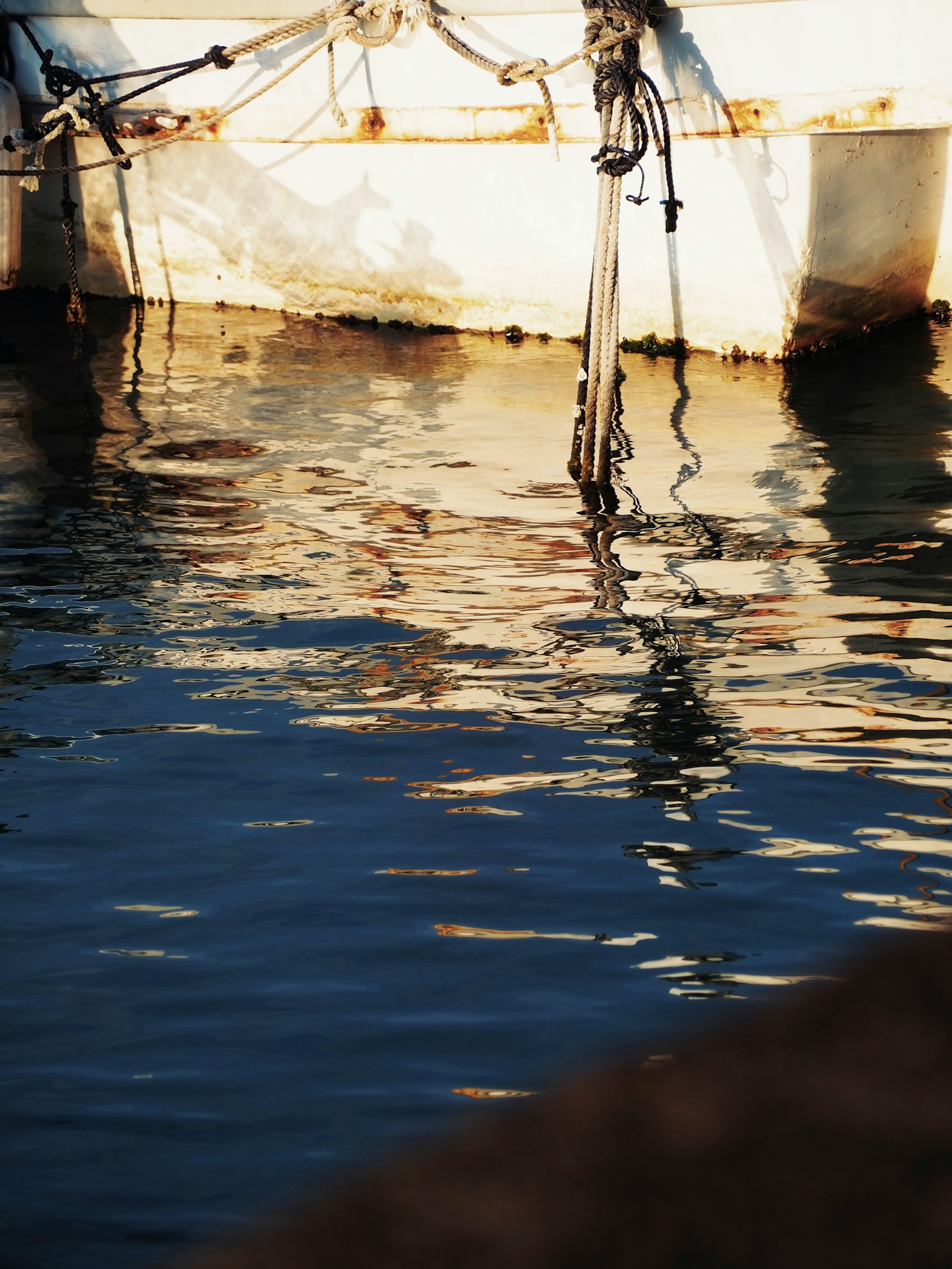 photo-lBKE6RACSTldbNXpfqyH-image