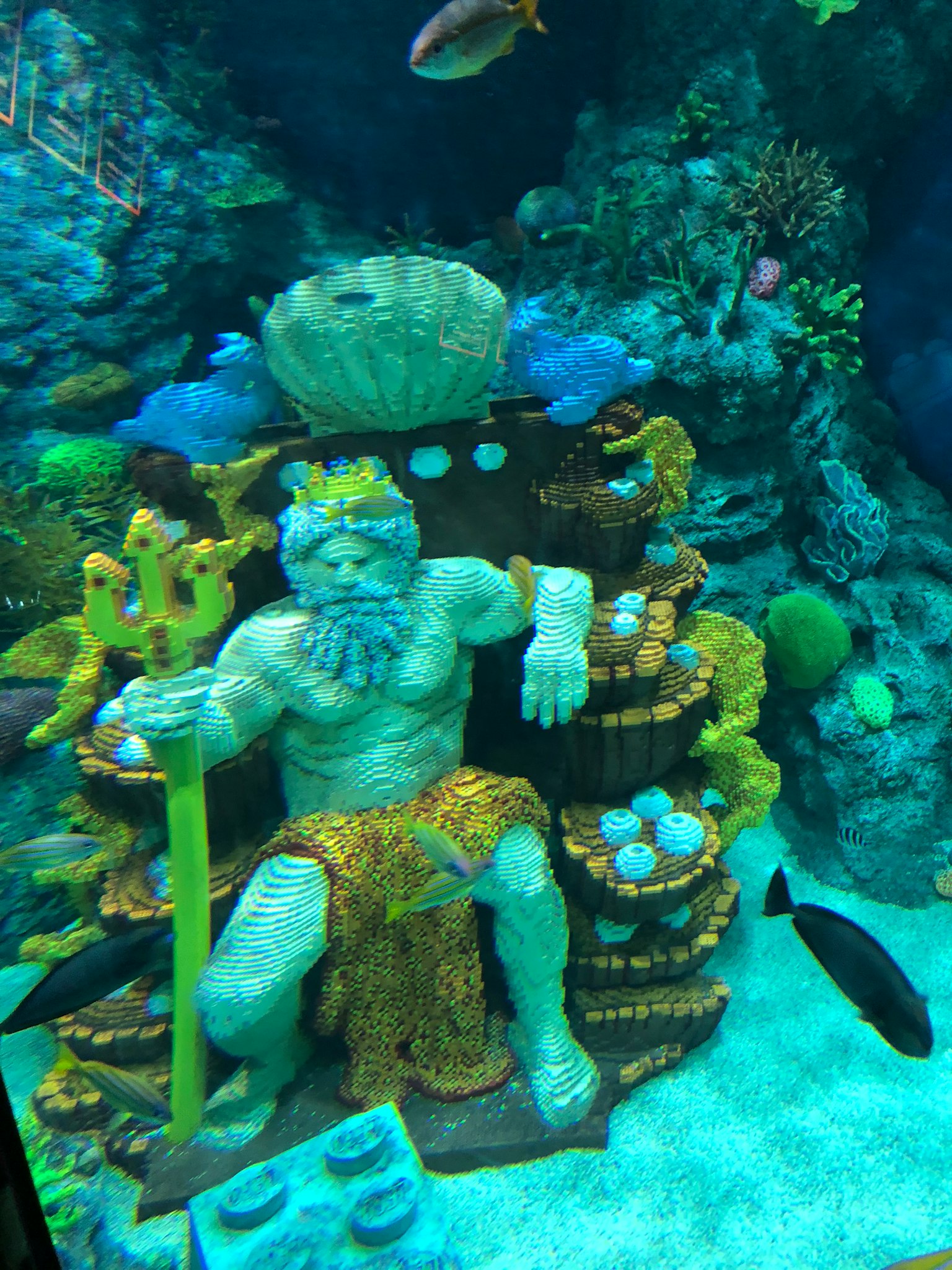 水族馆中坐着的海王雕像，周围环绕着五彩斑斓的鱼和珊瑚