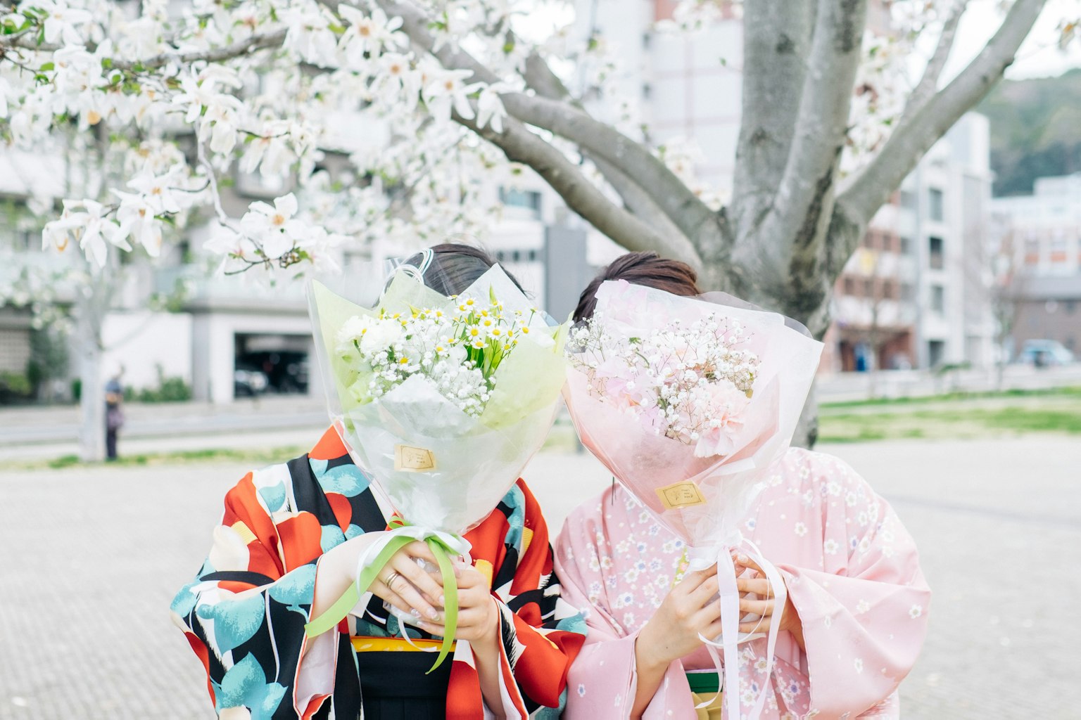 Hai người phụ nữ cầm hoa tạo dáng dưới cây anh đào