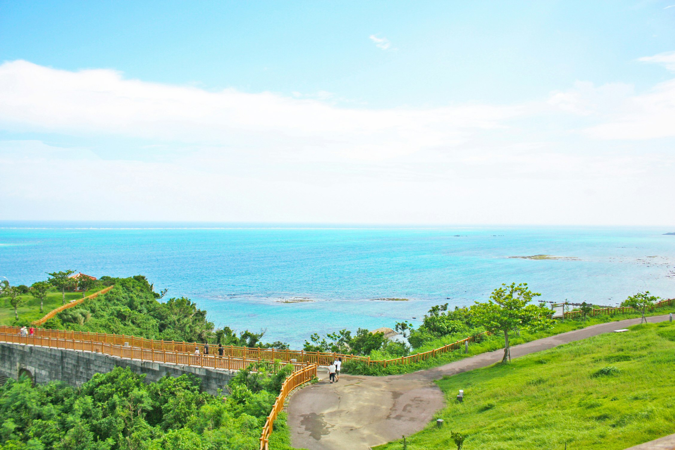 海を見下ろす緑の丘と曲がりくねった小道の風景