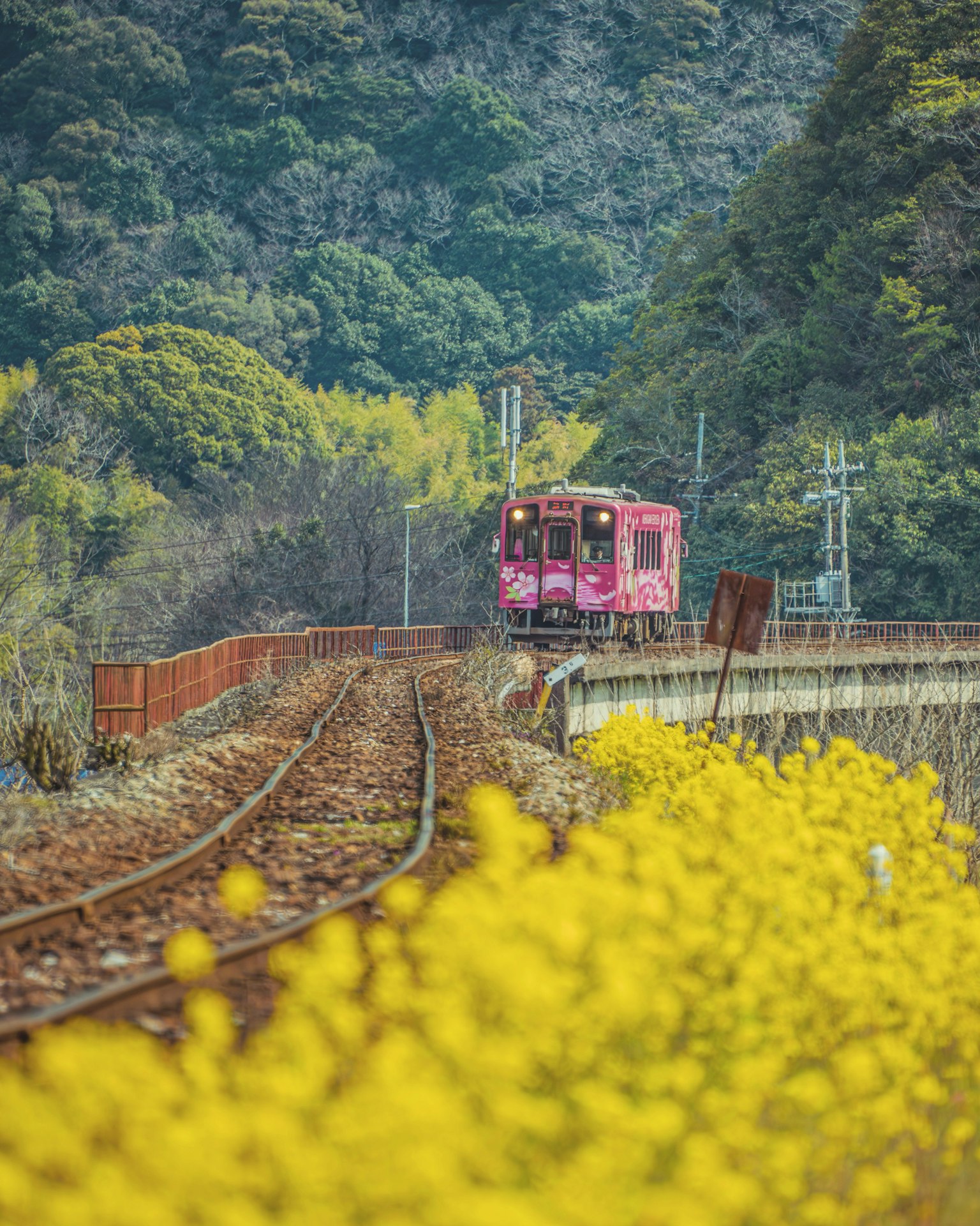 รถไฟสีชมพูวิ่งผ่านเนินเขาสีเขียวพร้อมดอกไม้สีเหลืองในพื้นหน้า