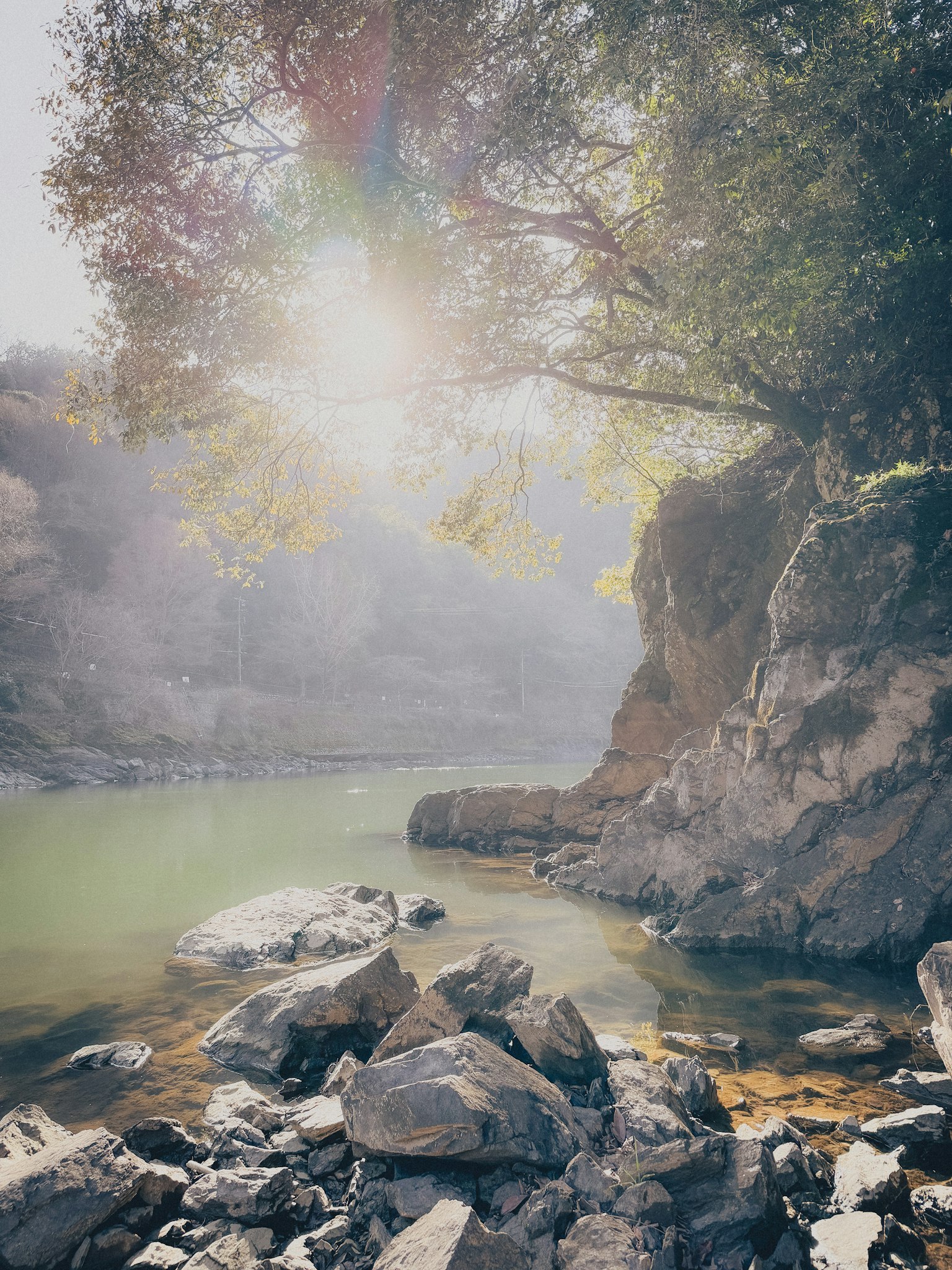 Paisaje de río sereno con rocas y árboles verdes, luz suave filtrando