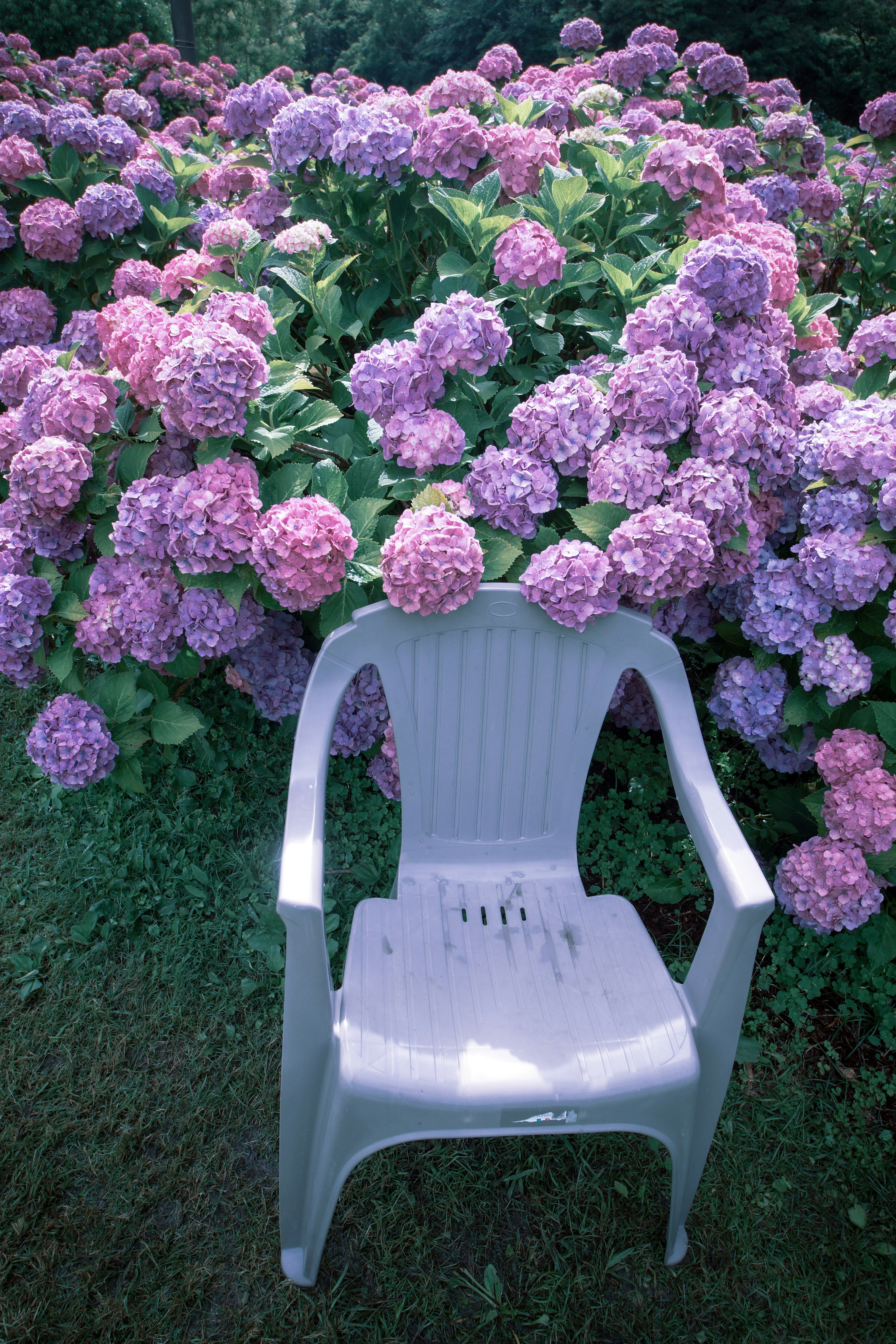 photo-lDP6qiNxtPZpgFfk230x-image