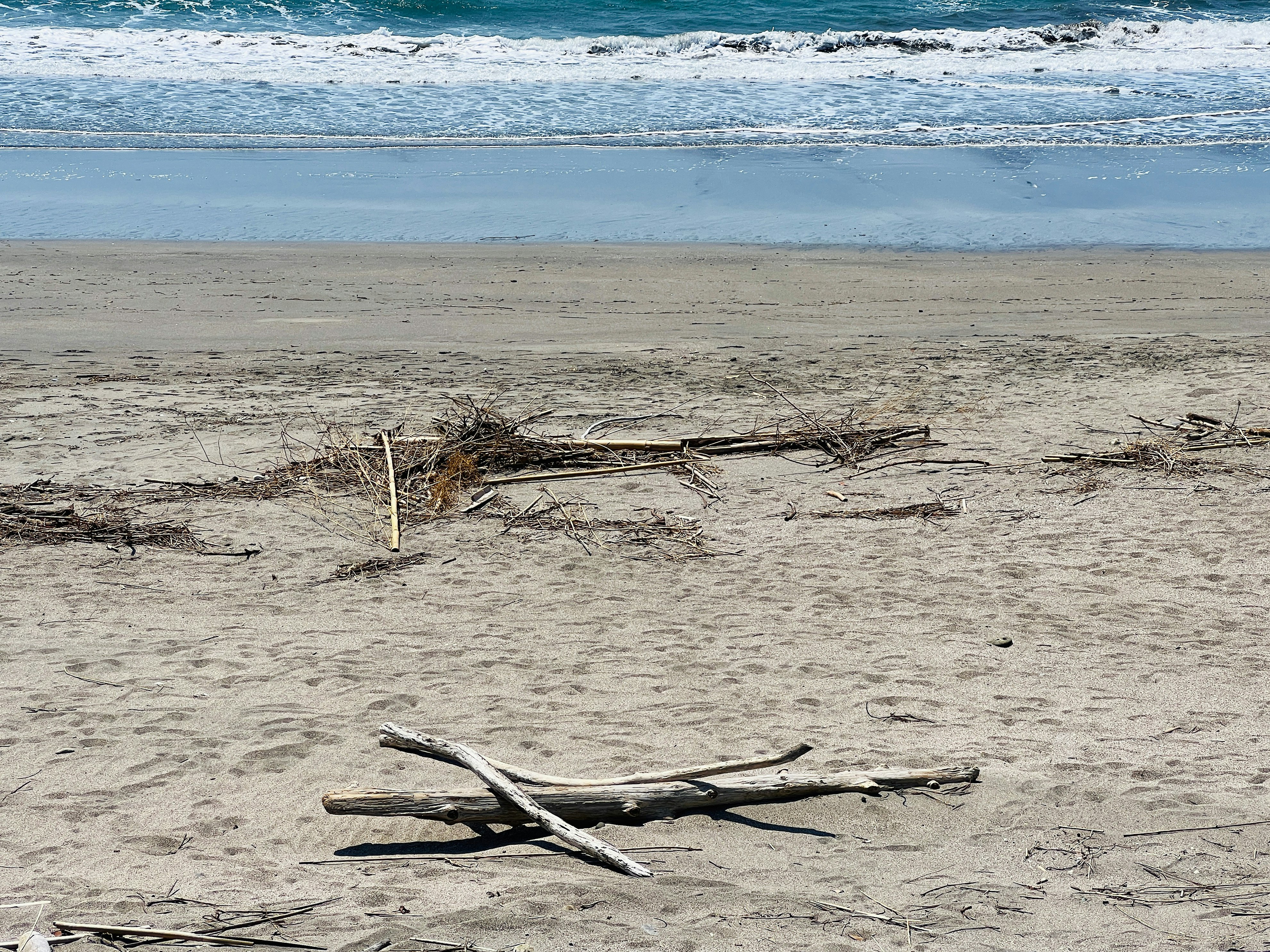 driftwood washed ashore on a beach with waves