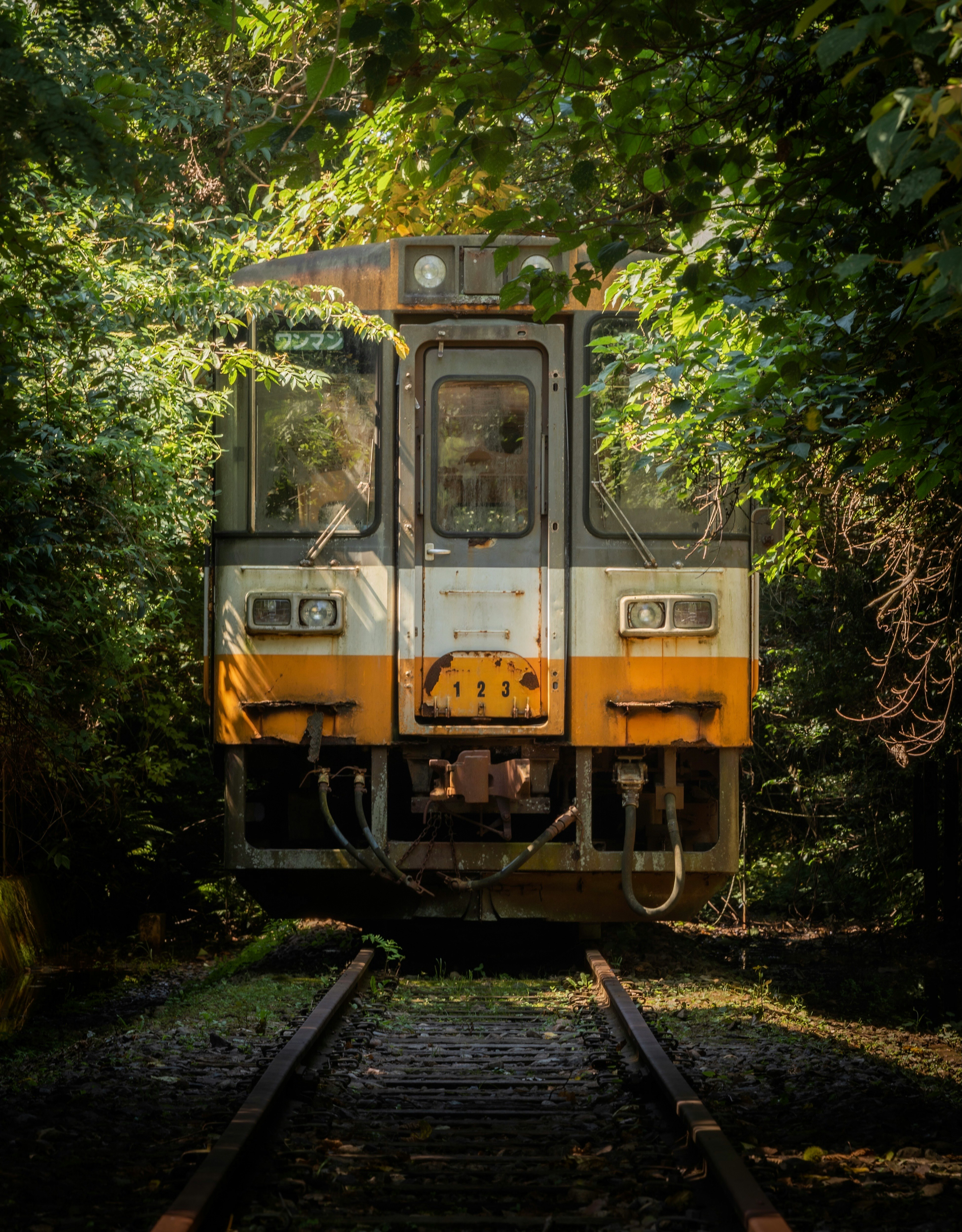 緑の木々に囲まれた線路上の古い列車の正面画像
