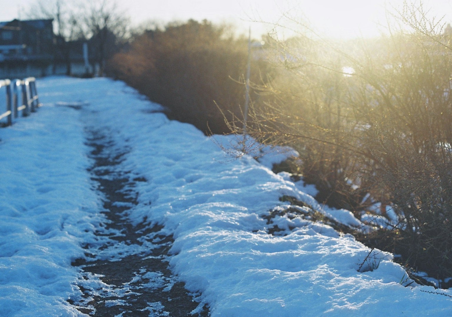 被雪覆盖的小路与阳光和灌木