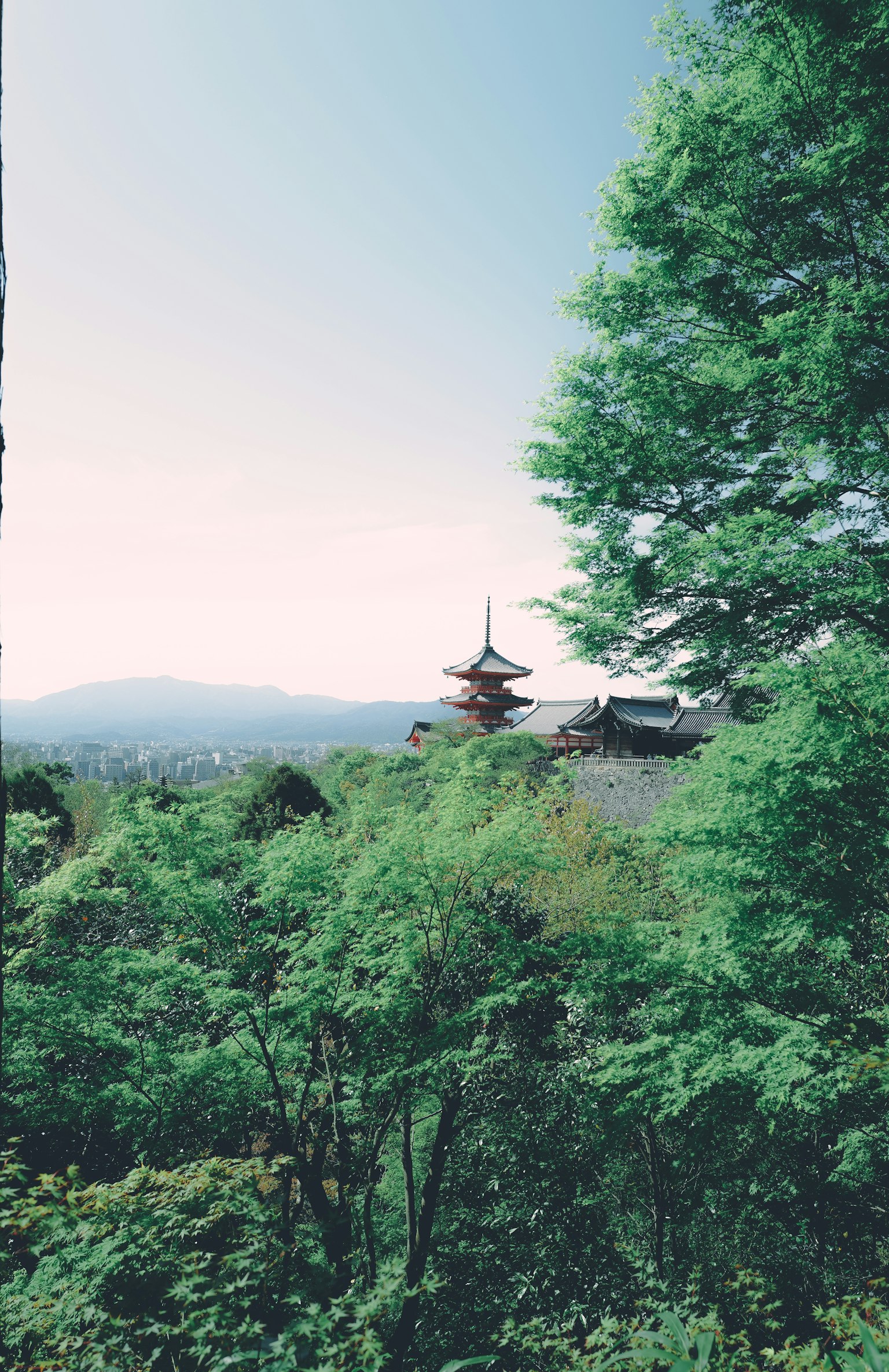 被鬱鬱蔥蔥綠色環繞的日本寺廟的美景