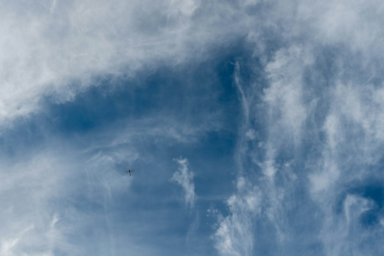 Motifs de nuages blancs sur un ciel bleu