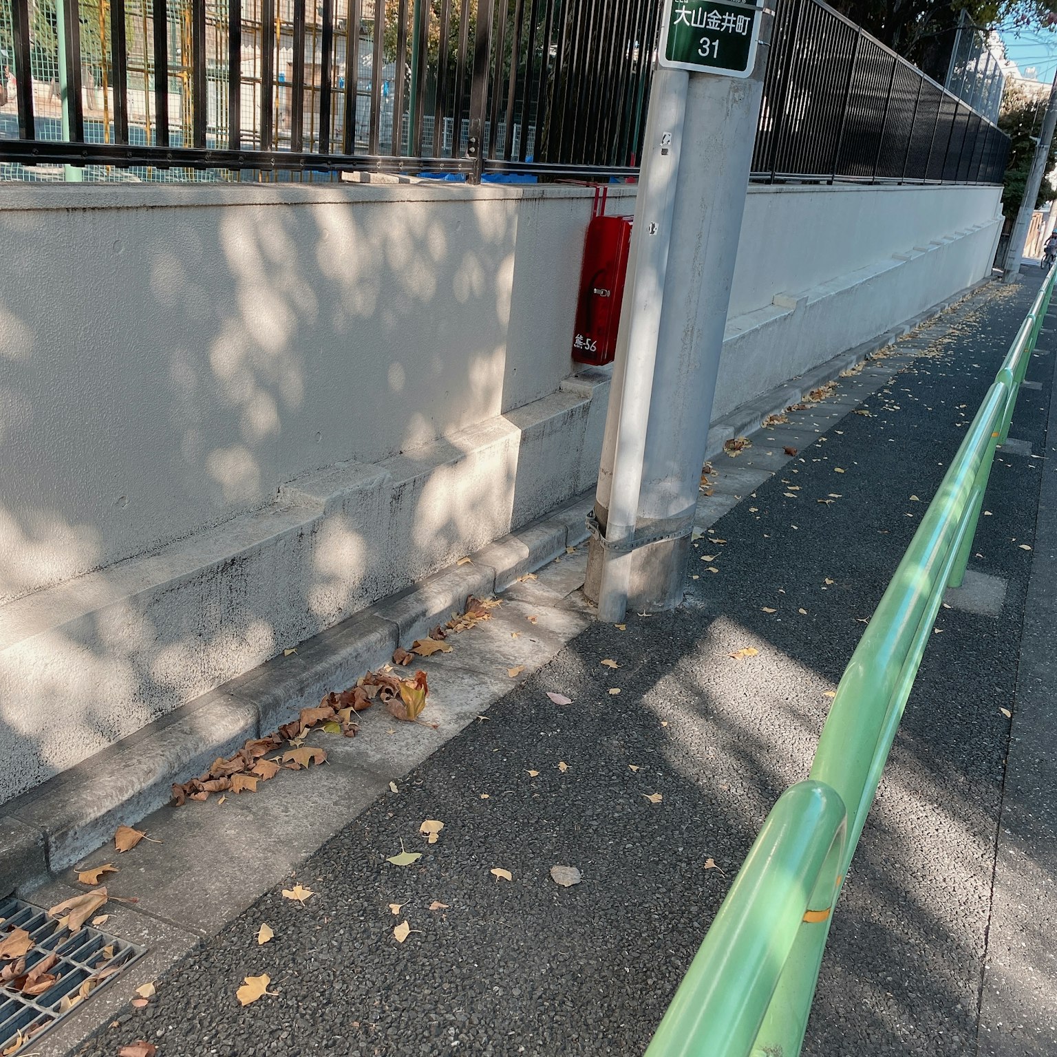 Sezione di marciapiede con barriera verde e foglie sparse