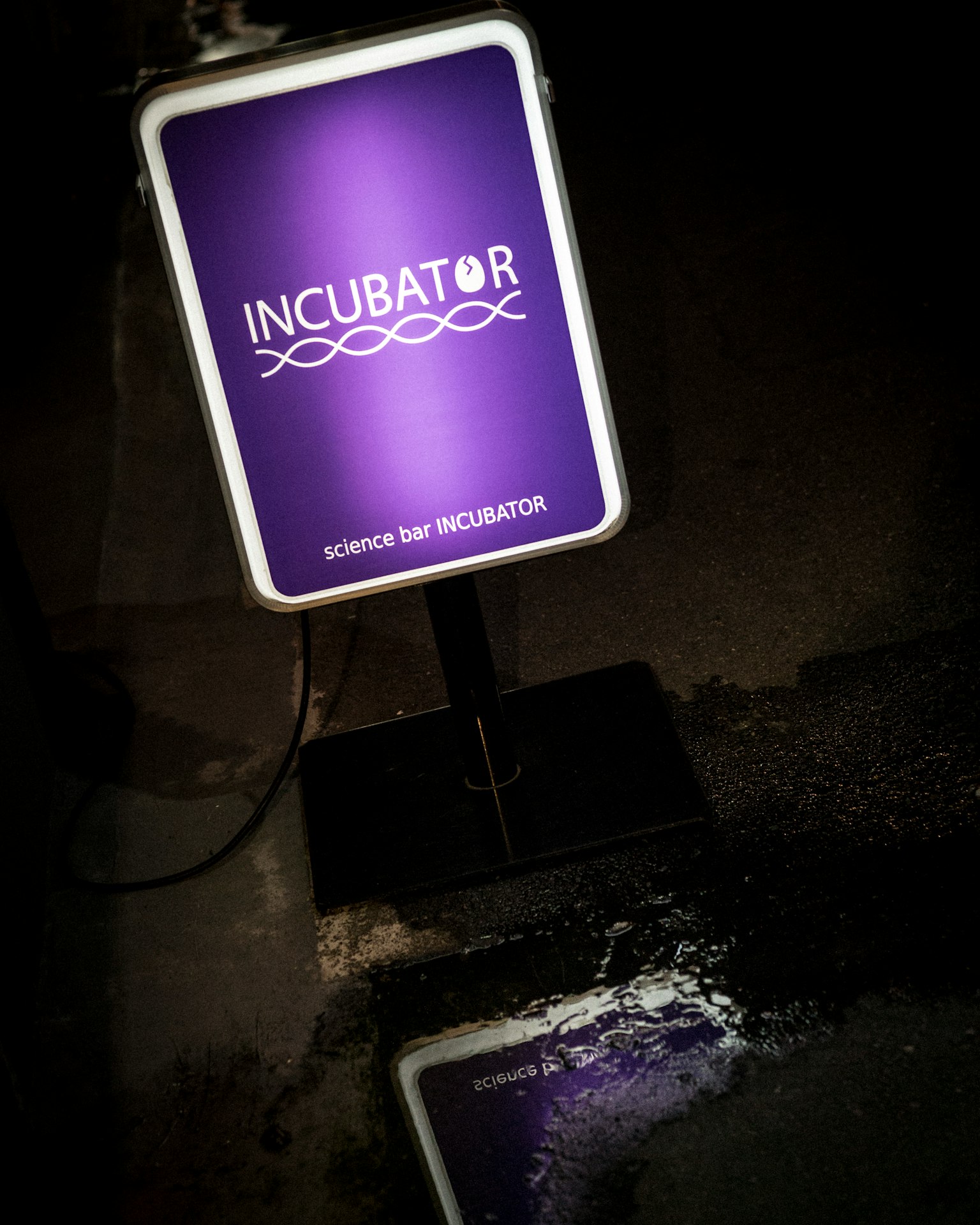 紫色の看板に「INCUBATOR」と書かれた画像 看板の下に反射が見える