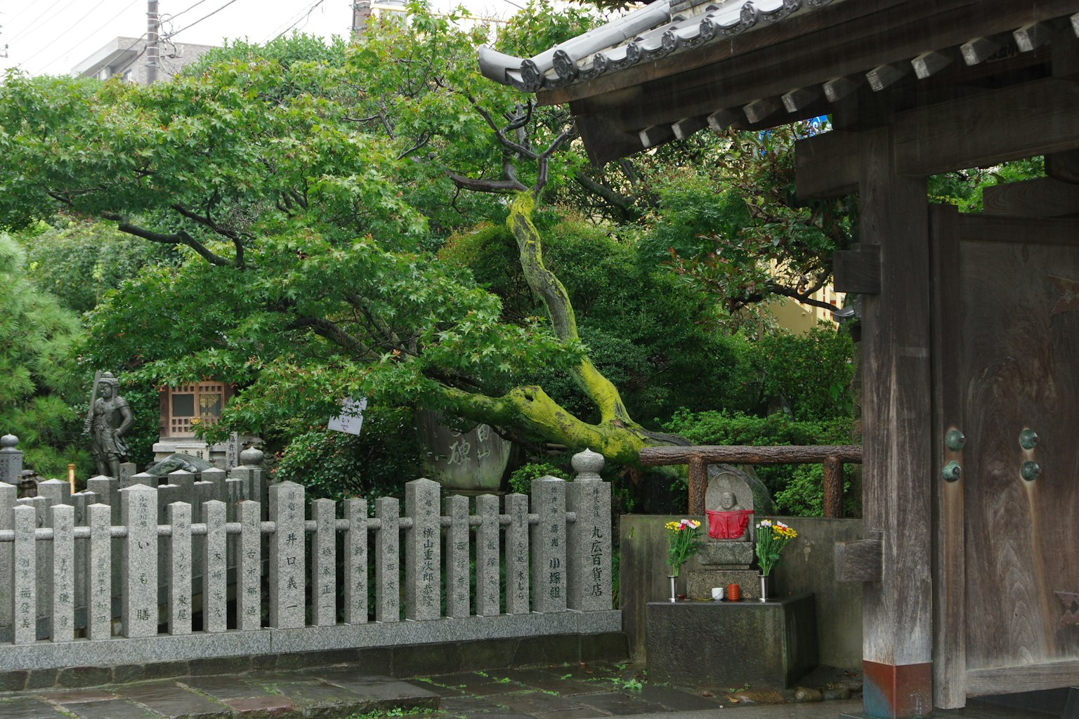 Traditional Japanese temple entrance with a lush green garden and tree