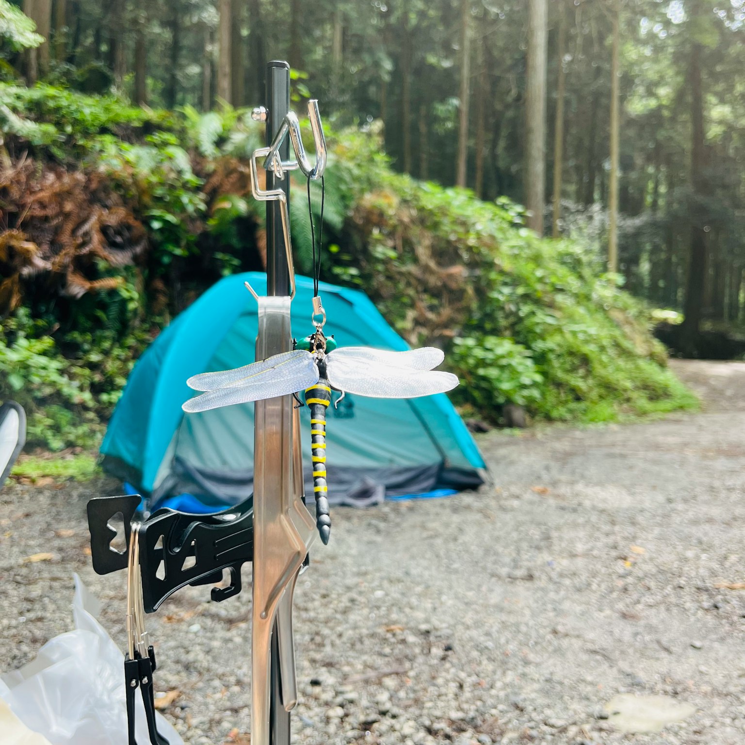 Tempat berkemah dengan tenda biru dan capung yang hinggap di kait logam
