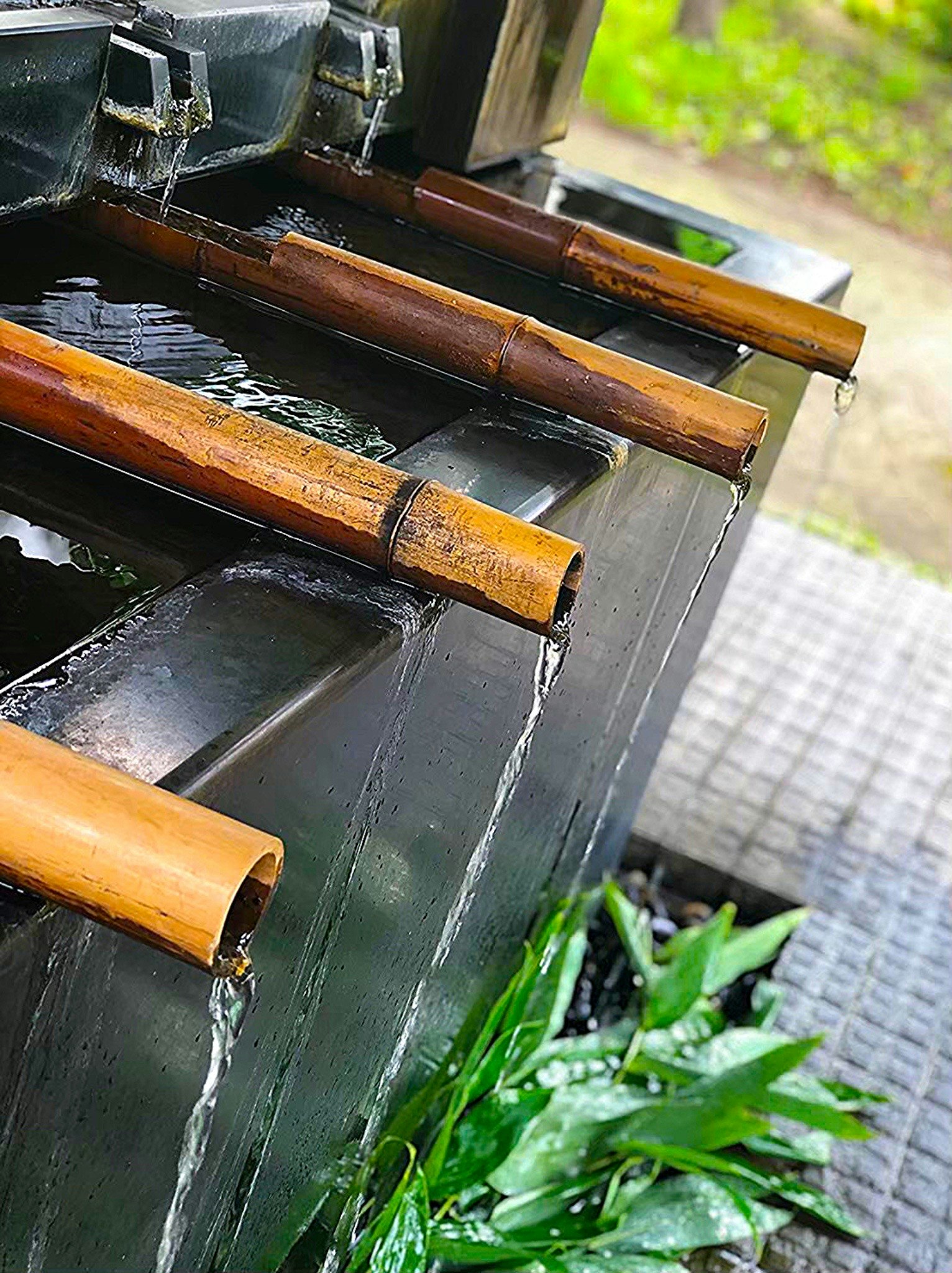 竹の水流が流れる水の装置 緑の植物が周囲にある