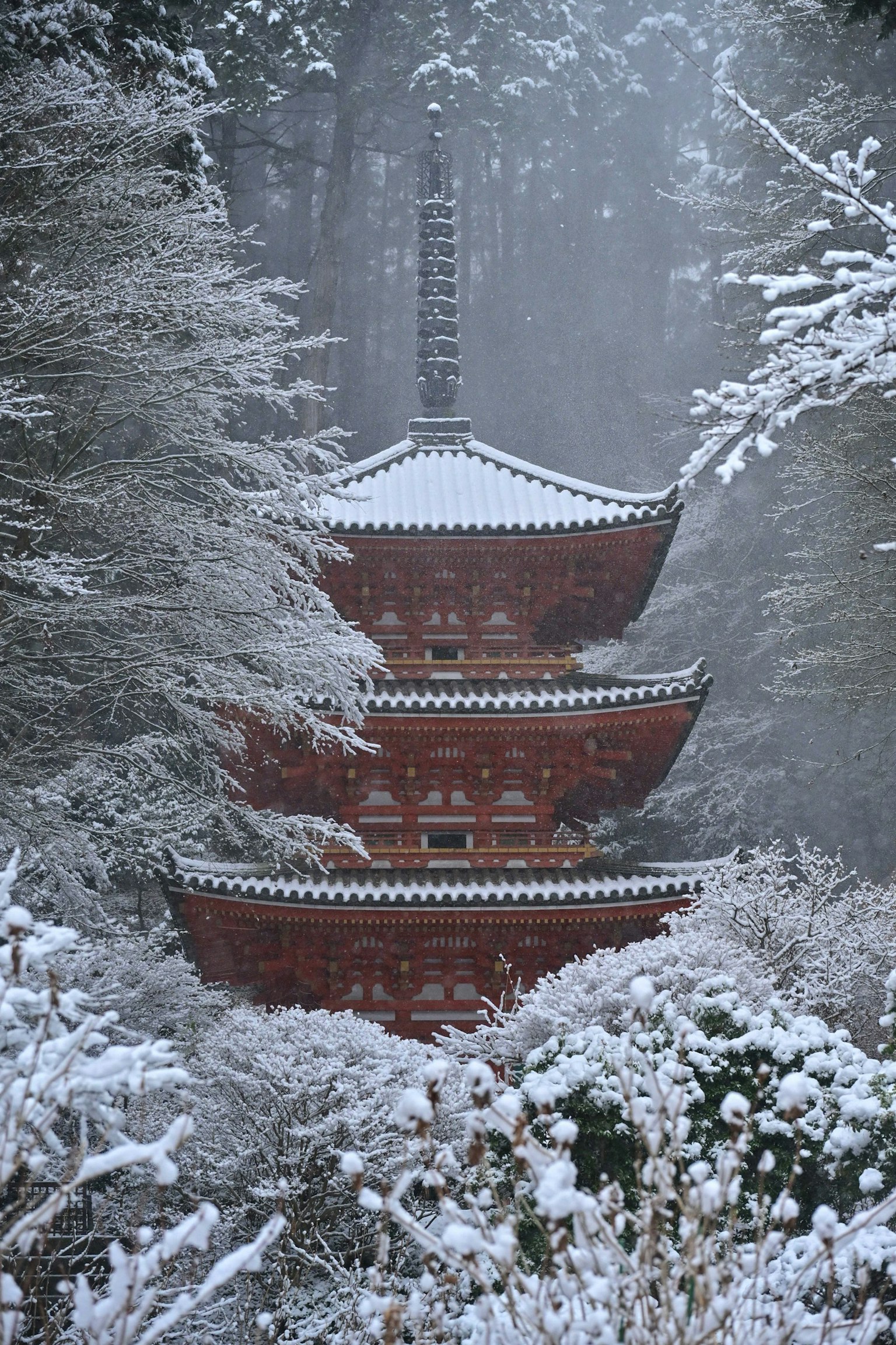 Snow-covered pagoda surrounded by a forest