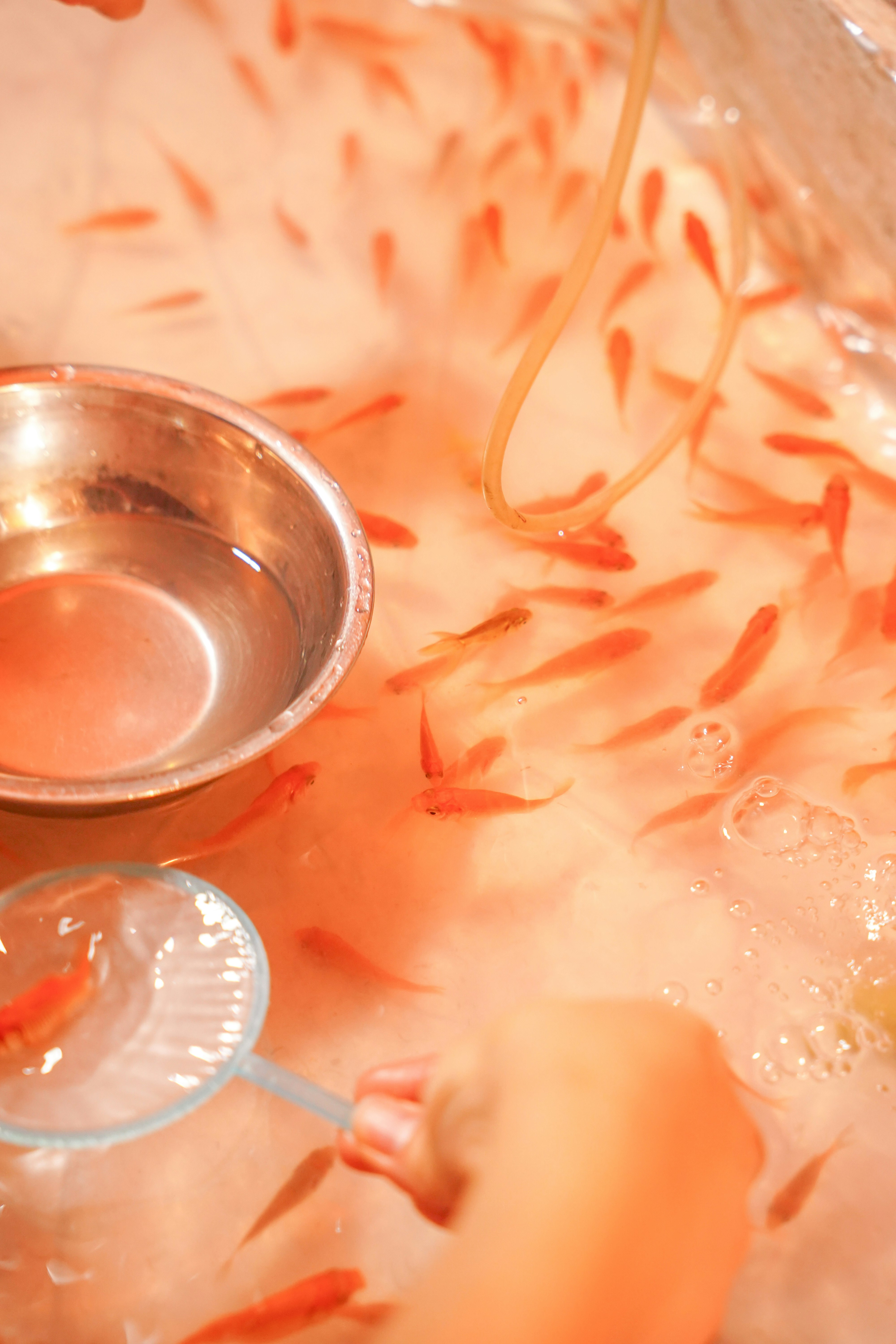 abstract macro background with orange liquid and metal bowls