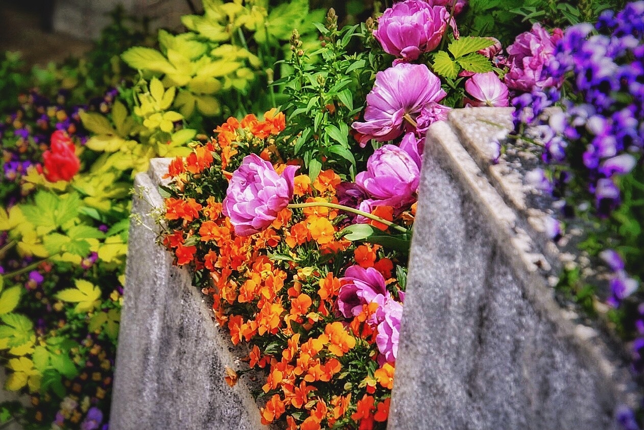 段々の花壇に咲く色とりどりの花の階段