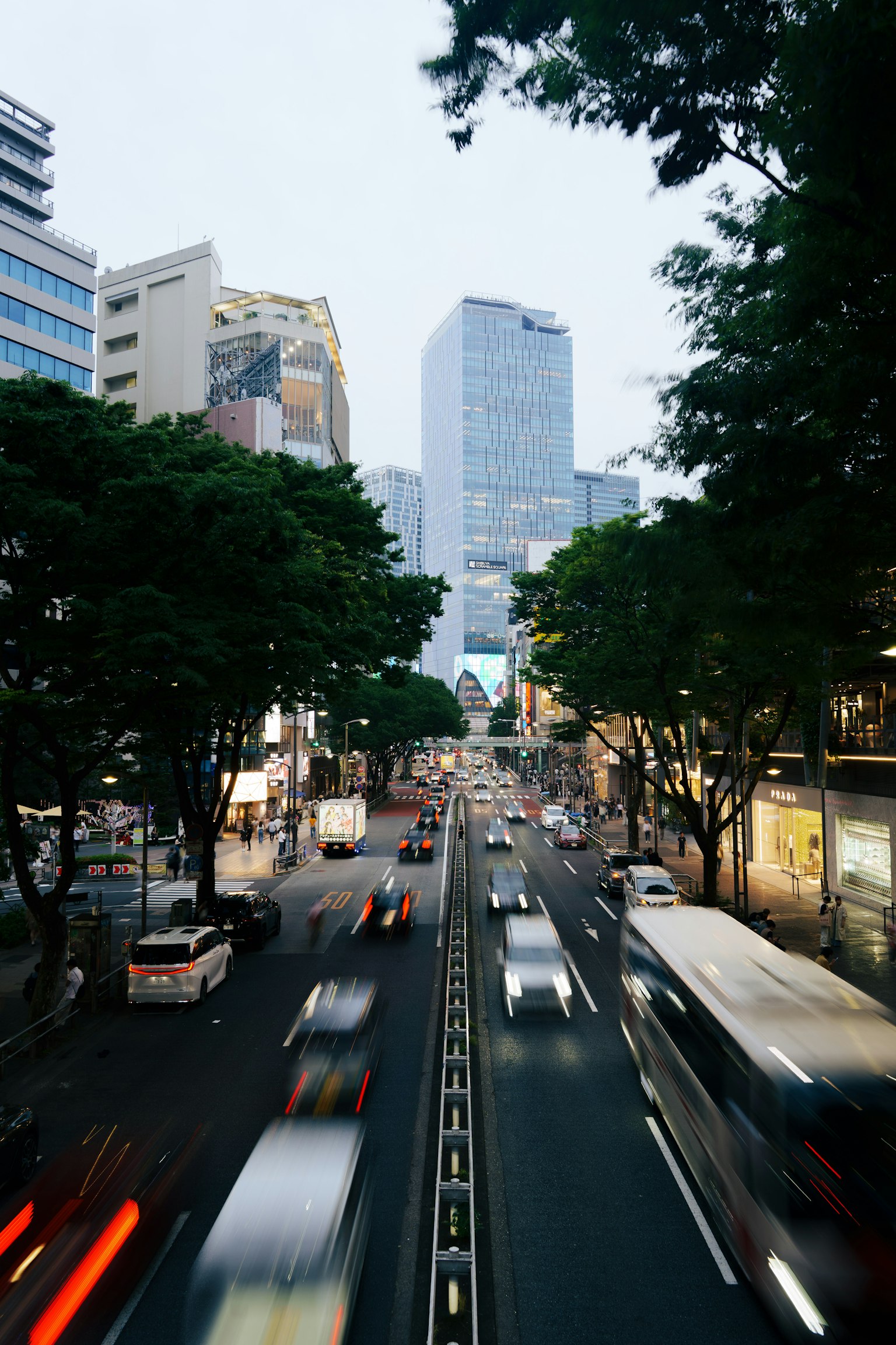 City street view at dawn with moving vehicles surrounded by buildings and green trees