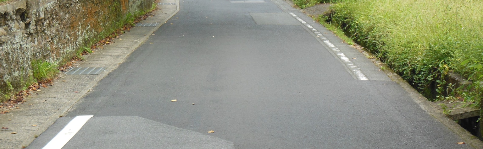 铺砌的乡村道路和两侧的草