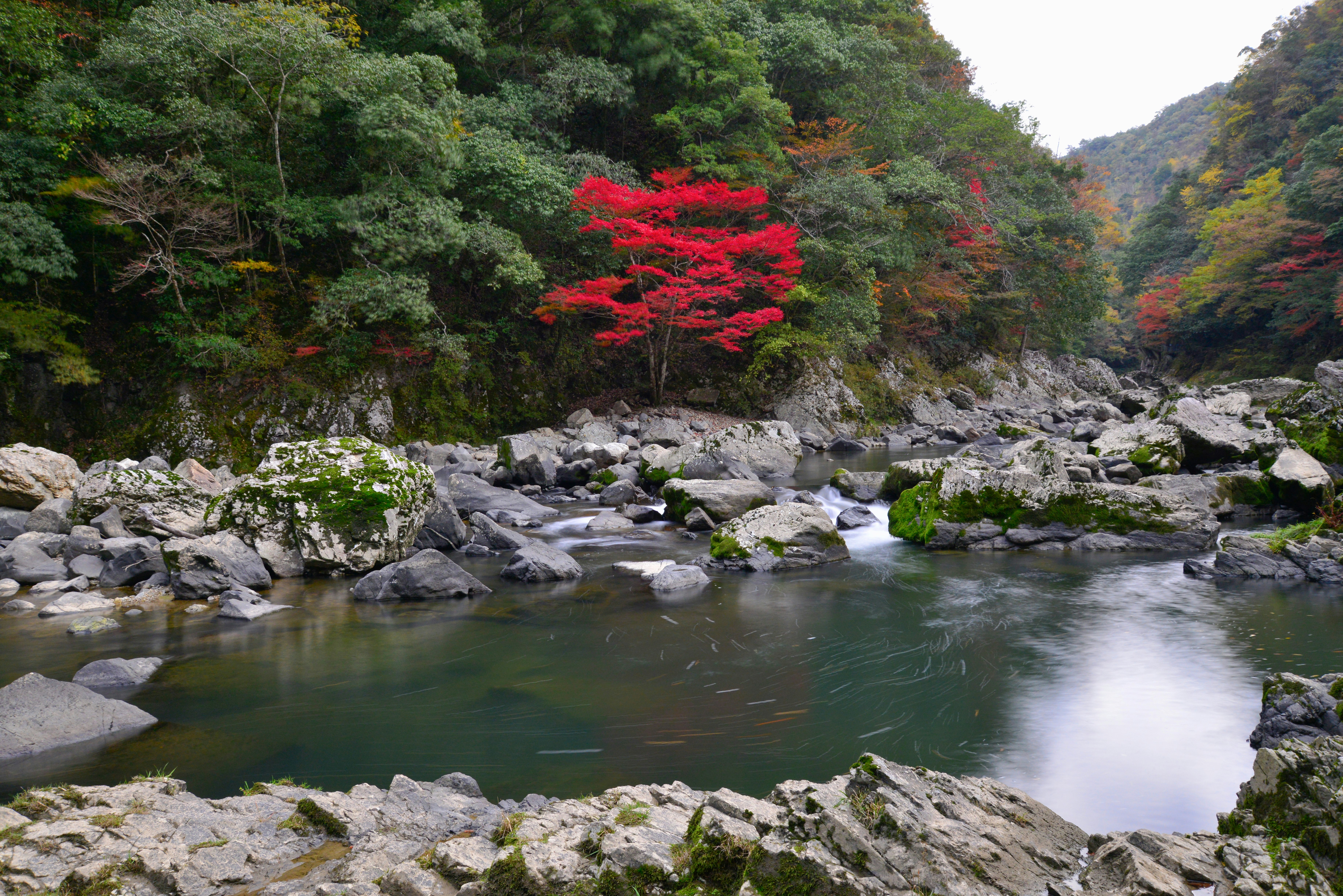 渓流と岩場、紅葉の木々が並ぶ自然風景
