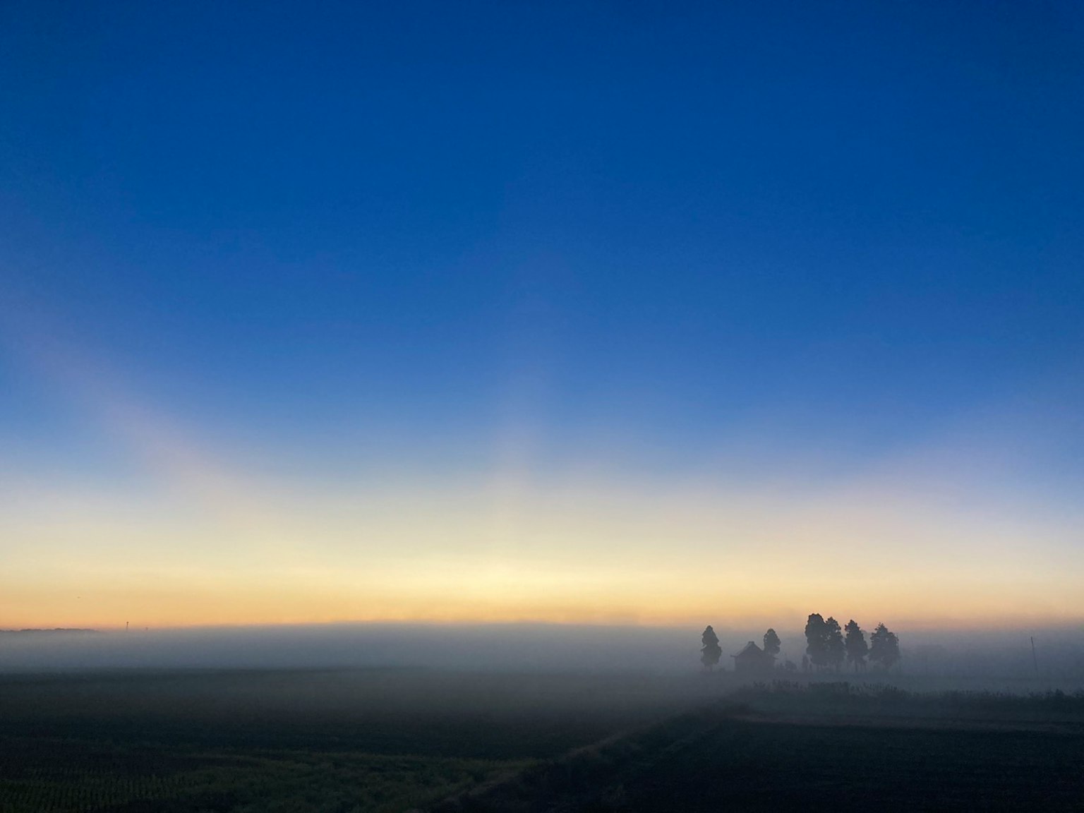 Paesaggio di alberi nella nebbia con cielo blu