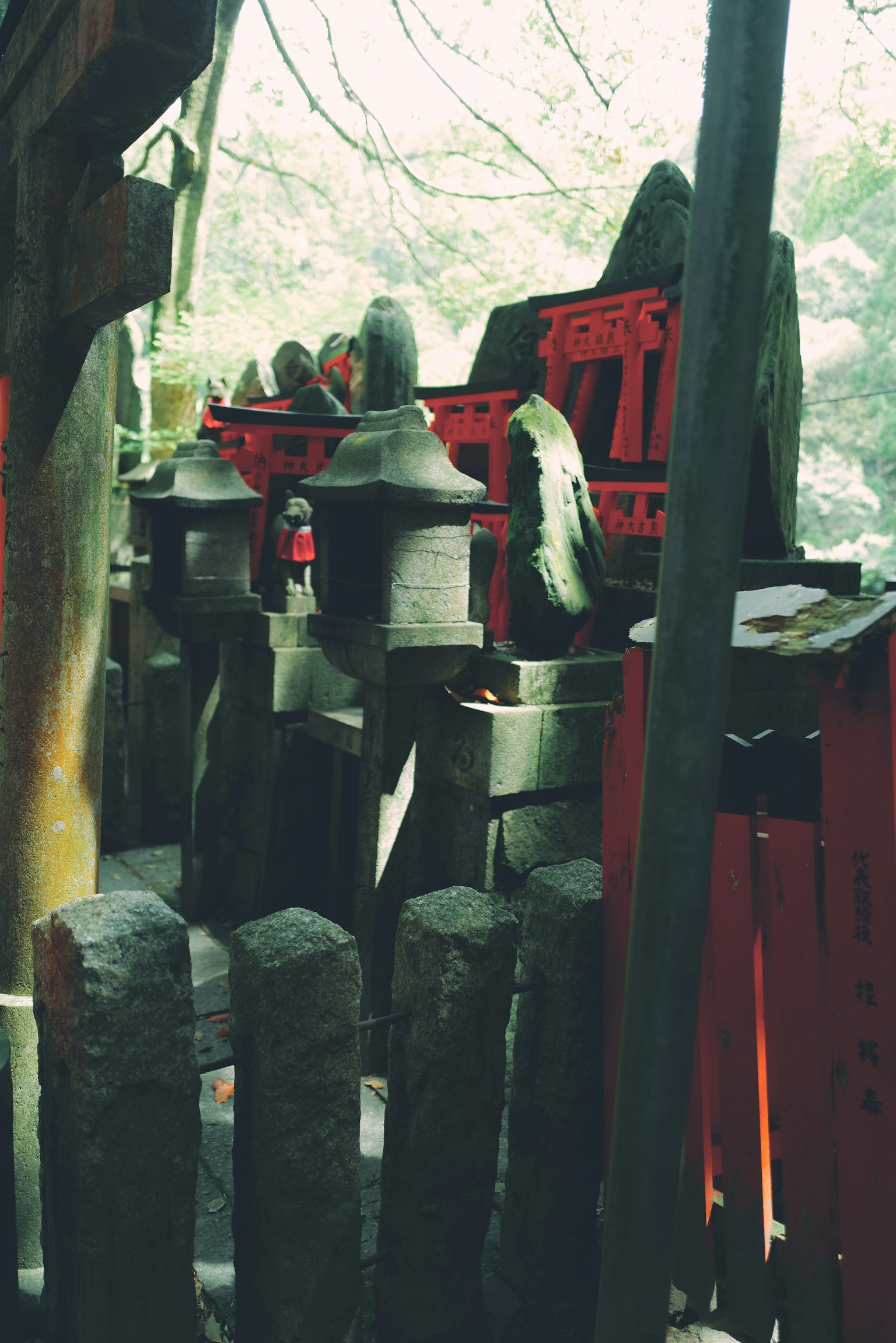 宁静的神社场景，红色鸟居和石像