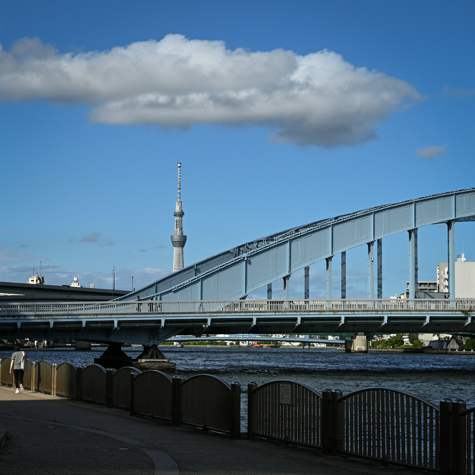 View of a bridge with Tokyo Skytree in the background