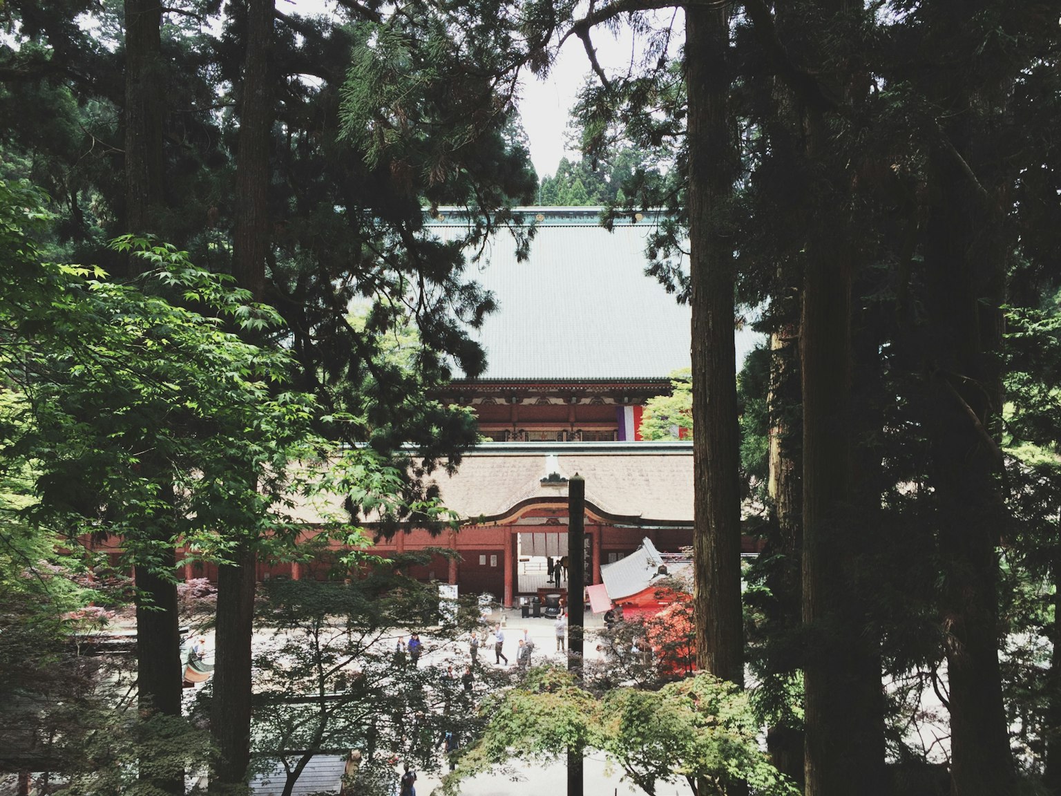 森林中隐藏的传统日本神社的景色