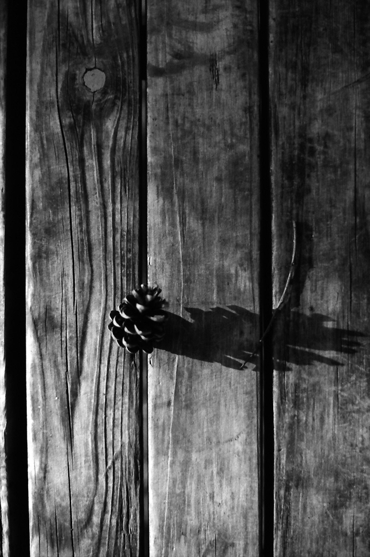 Monochrome image of a wooden door with a pine cone attached