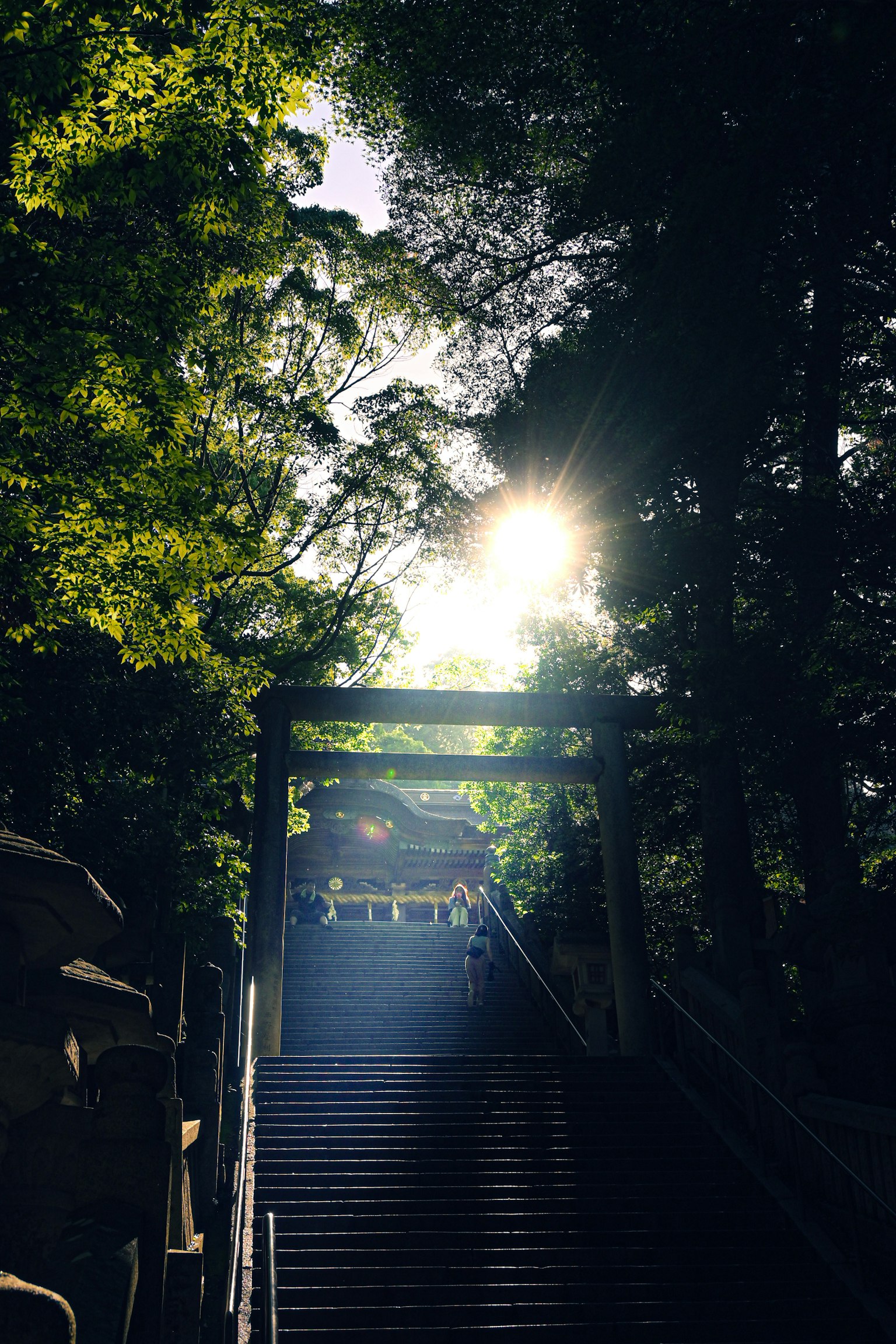 Luz filtrándose a través de los árboles iluminando una escalera de santuario