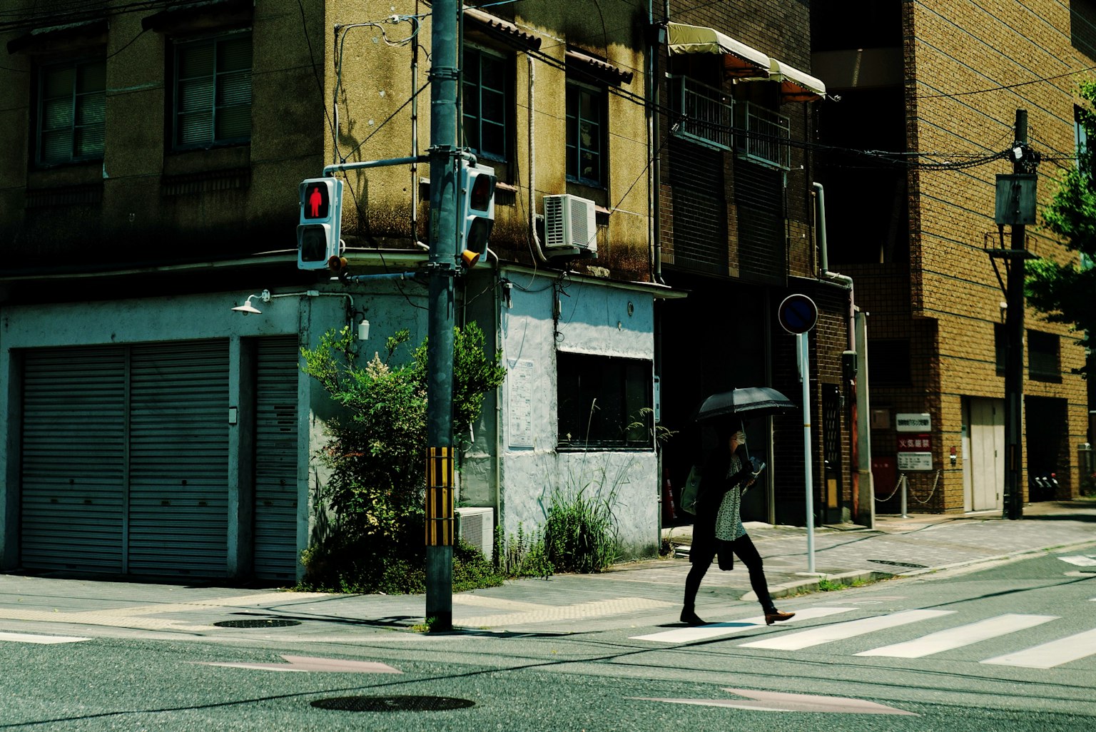 photo-lJgeeE4LrK22uYadkdqY-image