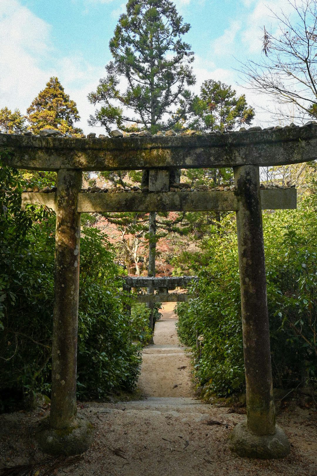 grüner Schreinweg mit Torii-Tor