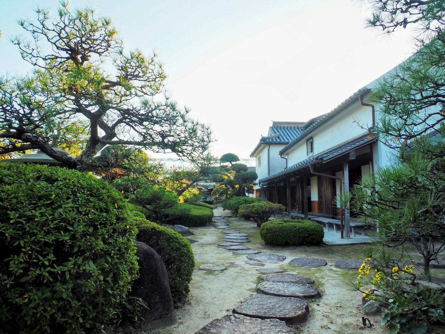 Serene Japanese garden scene with stone path and manicured shrubs